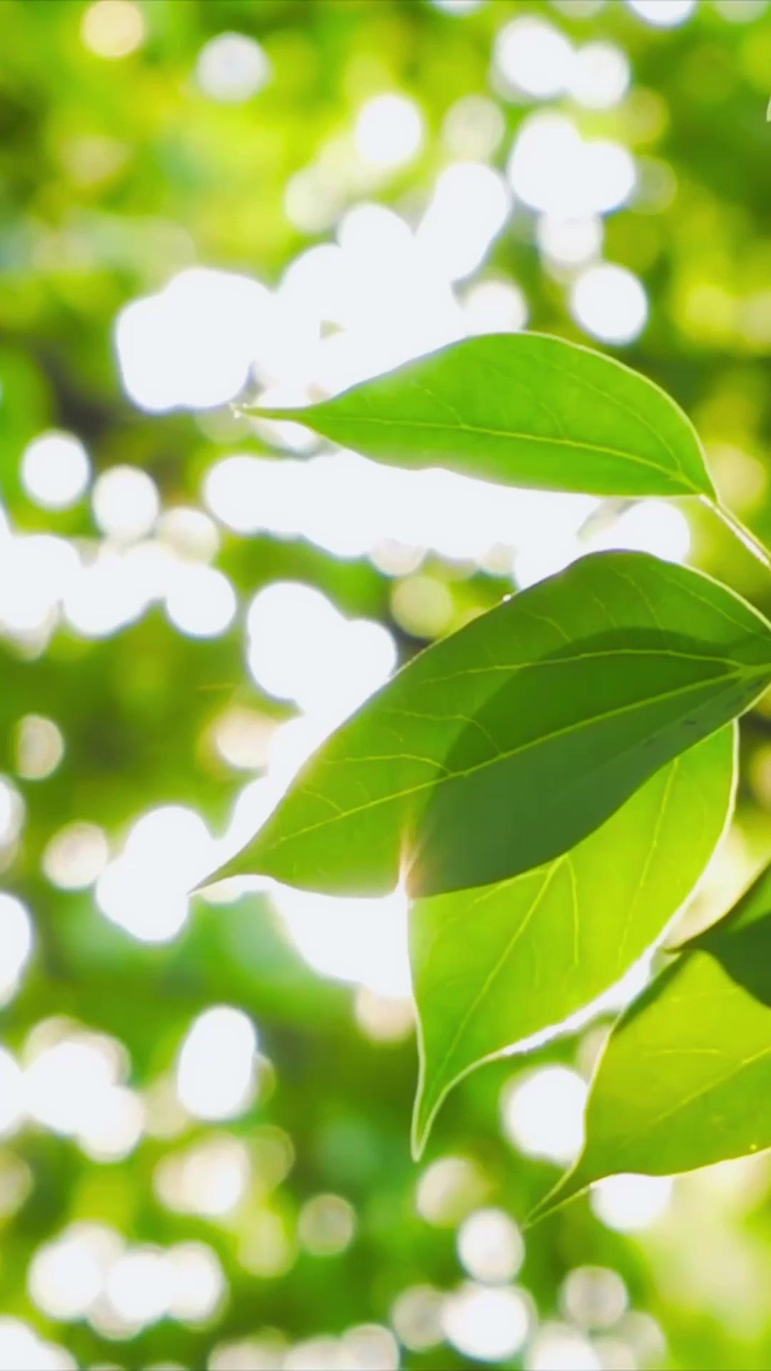 Error: Love Not Terminated  