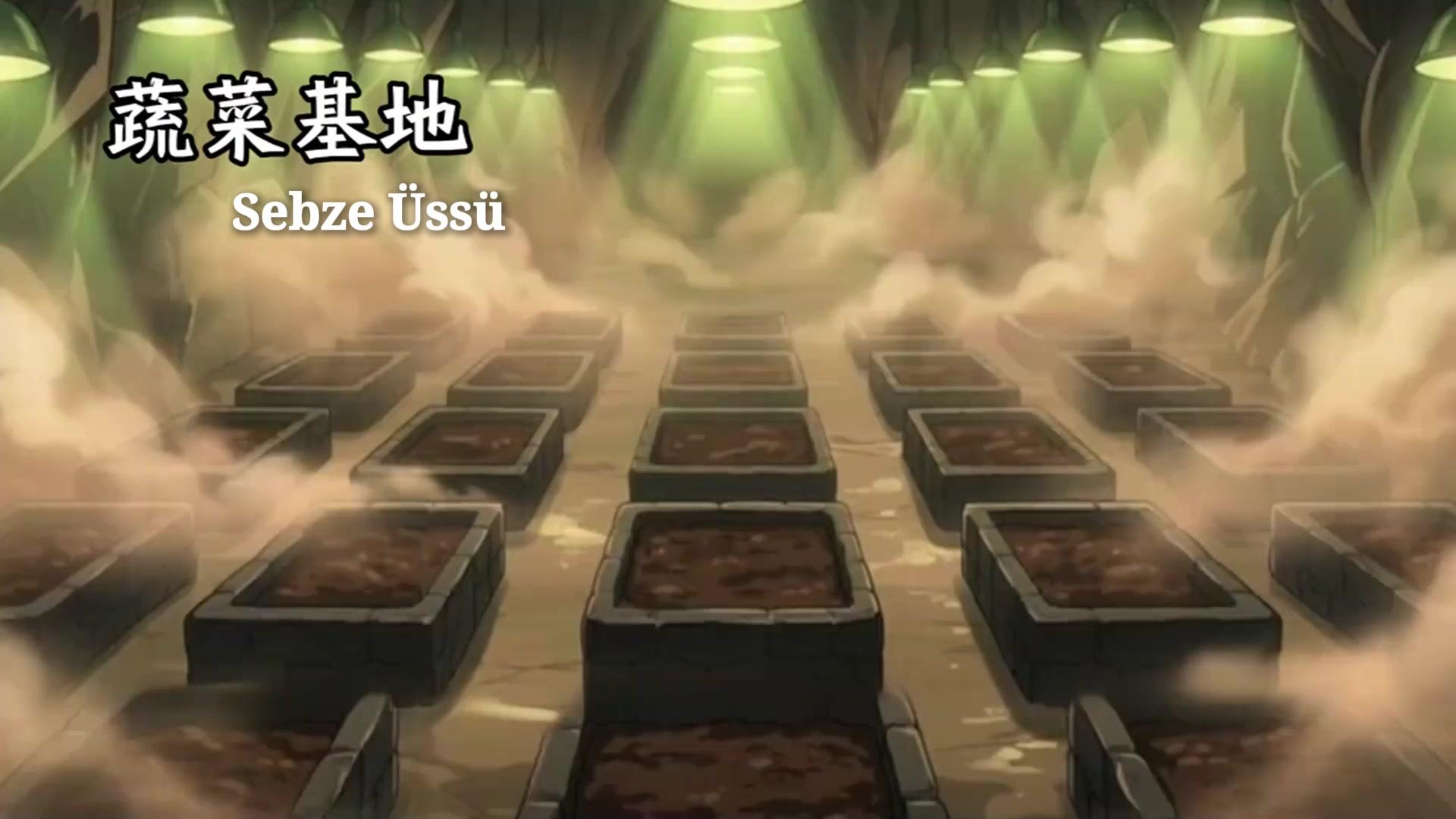 Üç Güzel Doktorla Hayatta Kalma