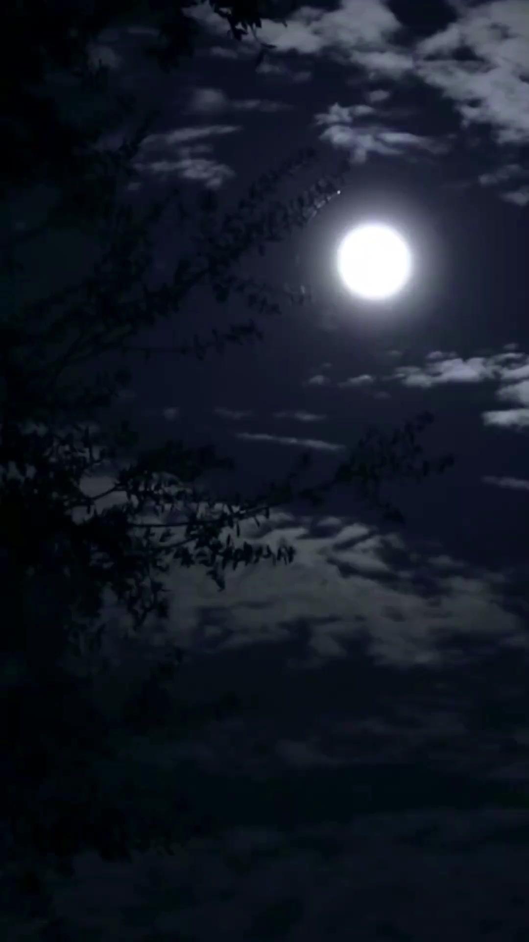 Kiêu Sĩ Vô Cương