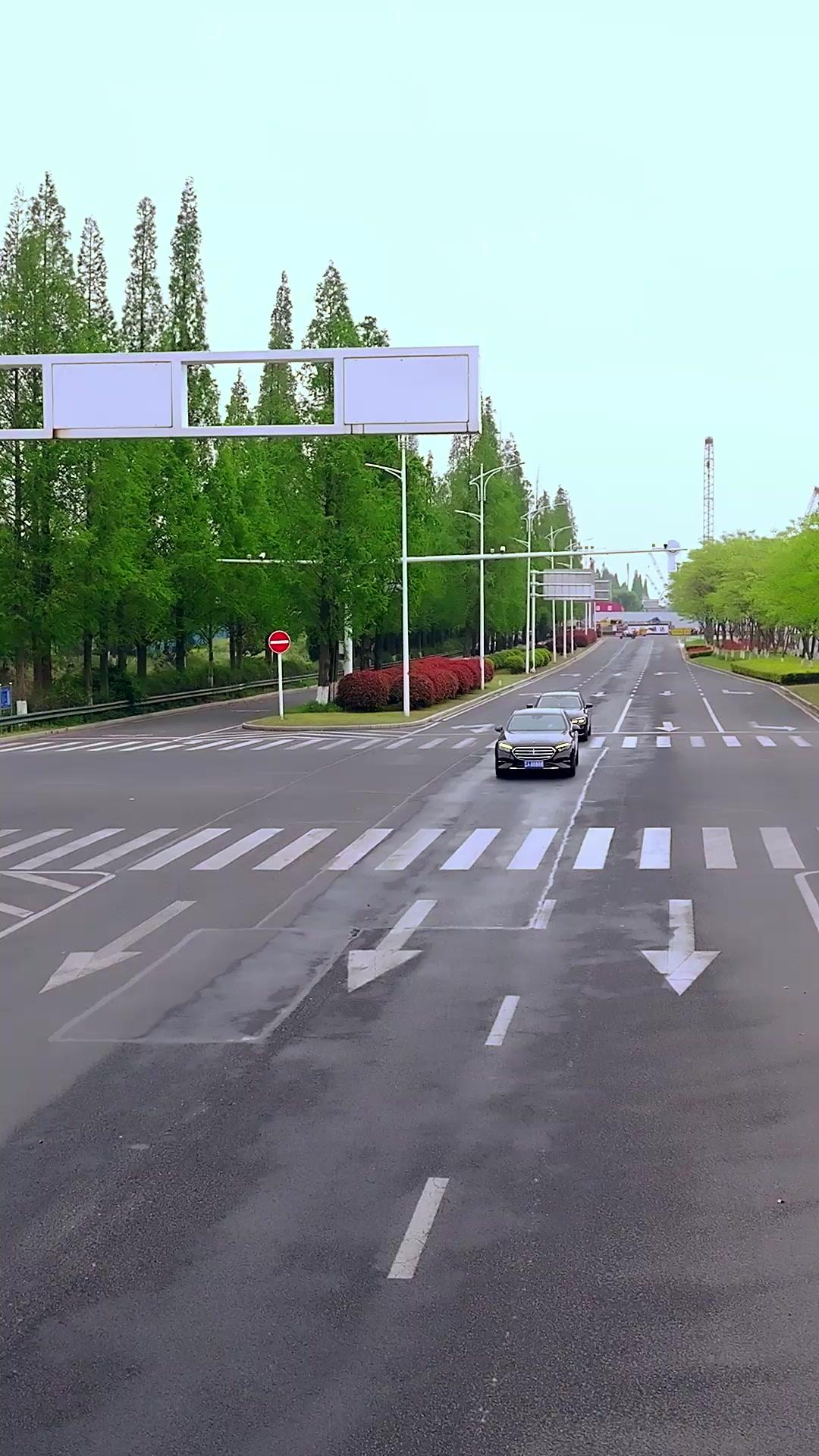 My Warlord Fiancé & His Mission to Save Me