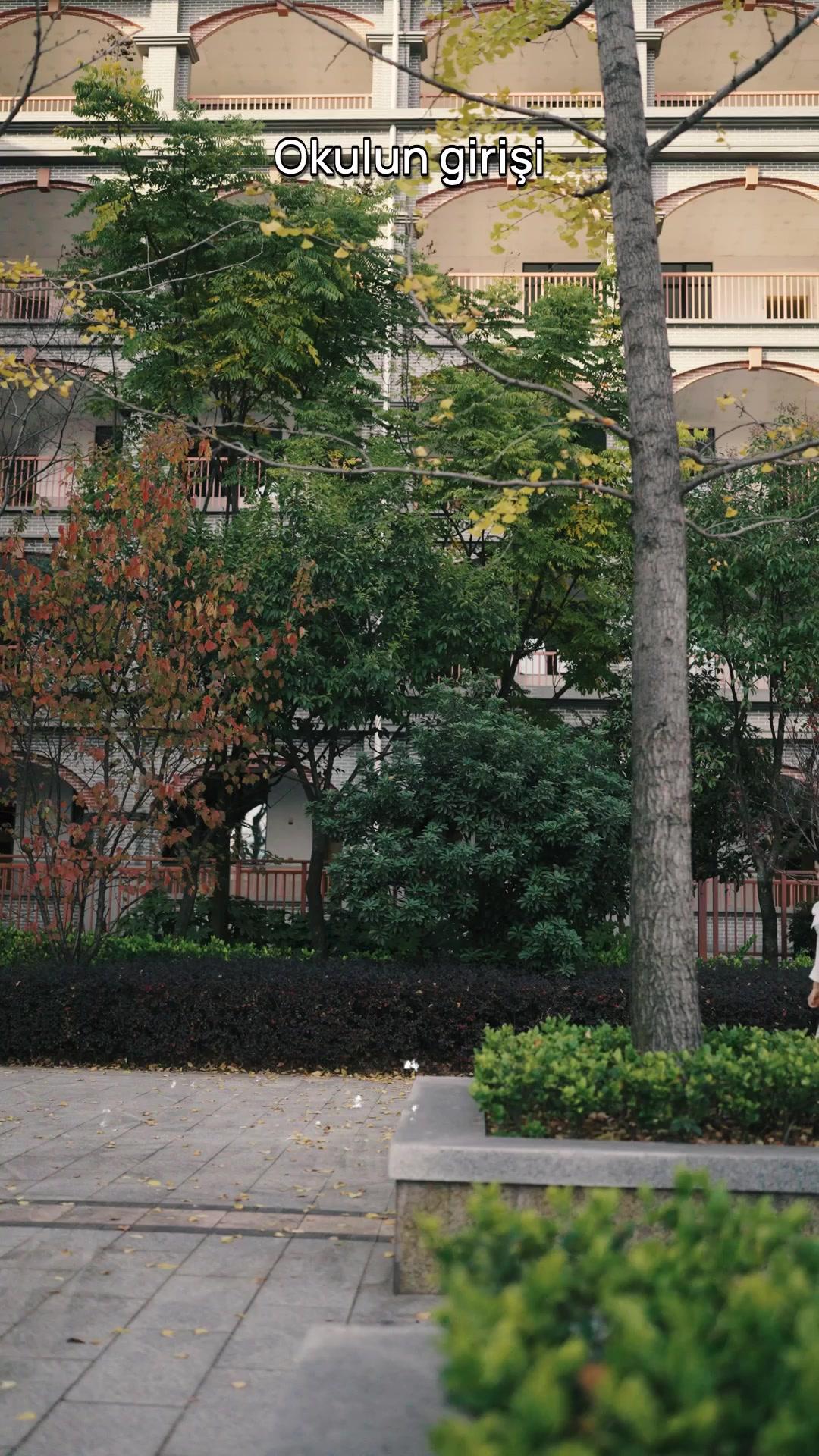 Yeniden Doğuş: Büyükanne'nin Dönüşü