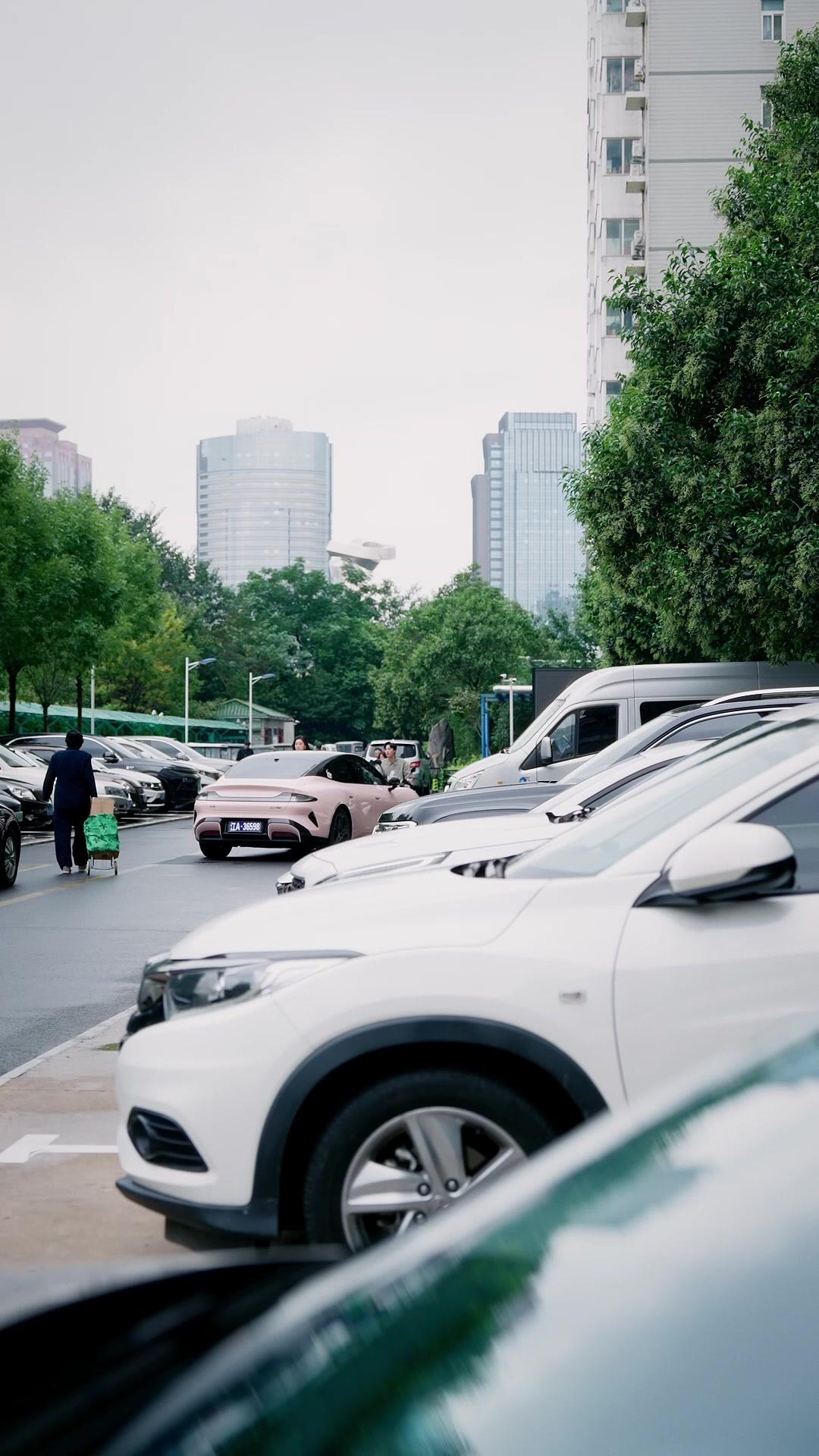 Dunia Hewan Membuka Rahasia