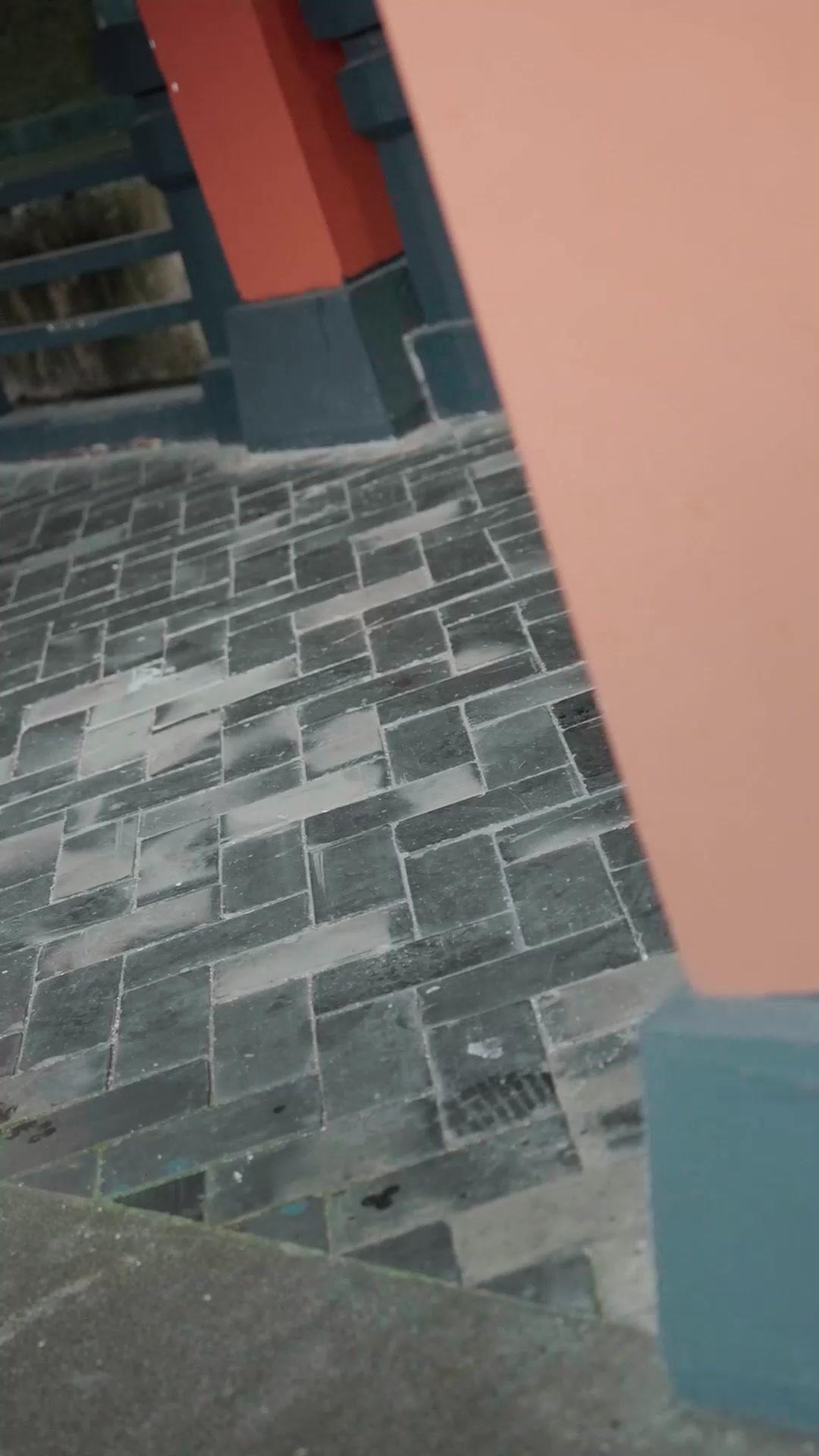 (Dubbing) Tempat Kembali Sang Raja