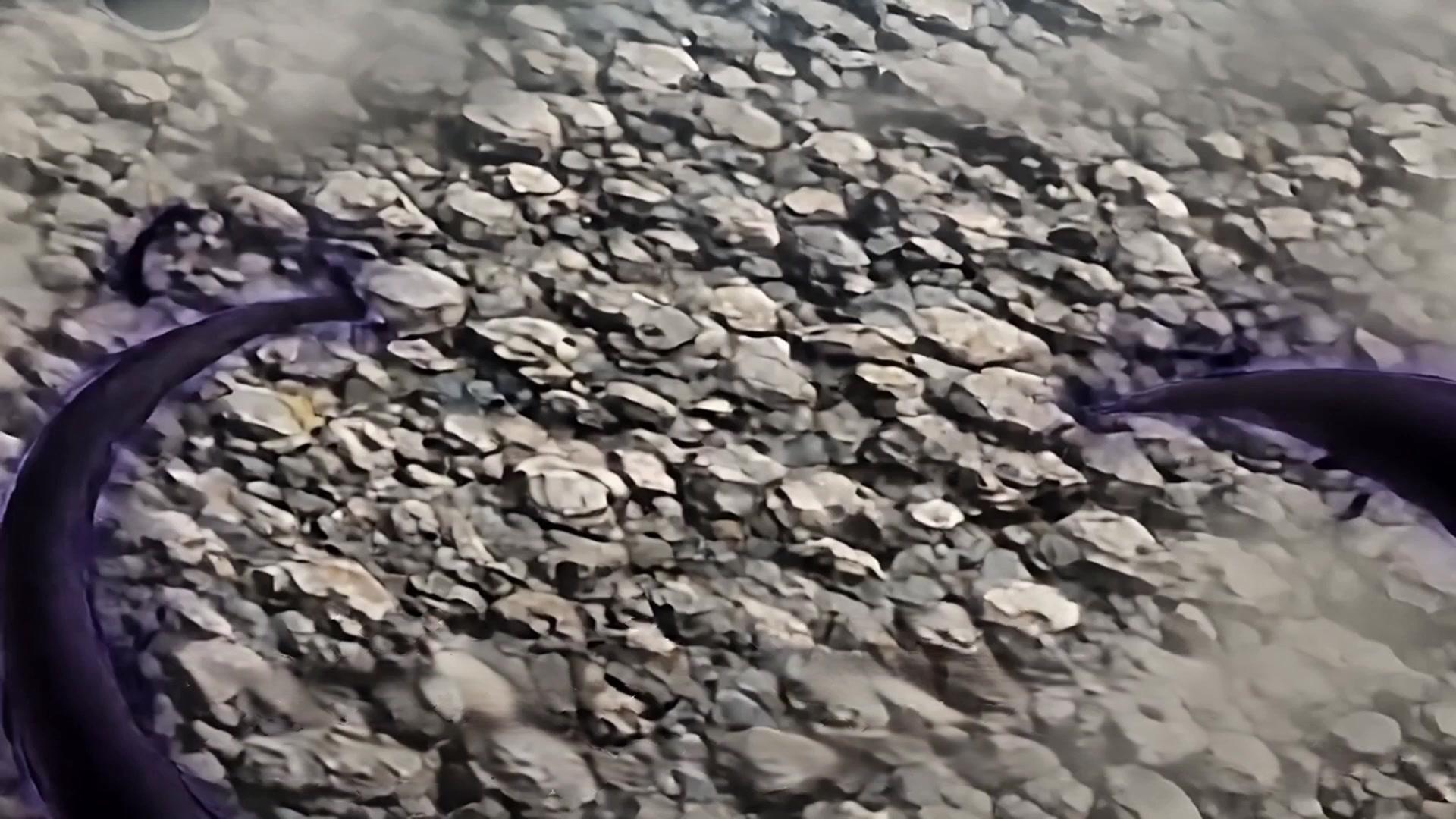 They Freed Hell to Kill Me