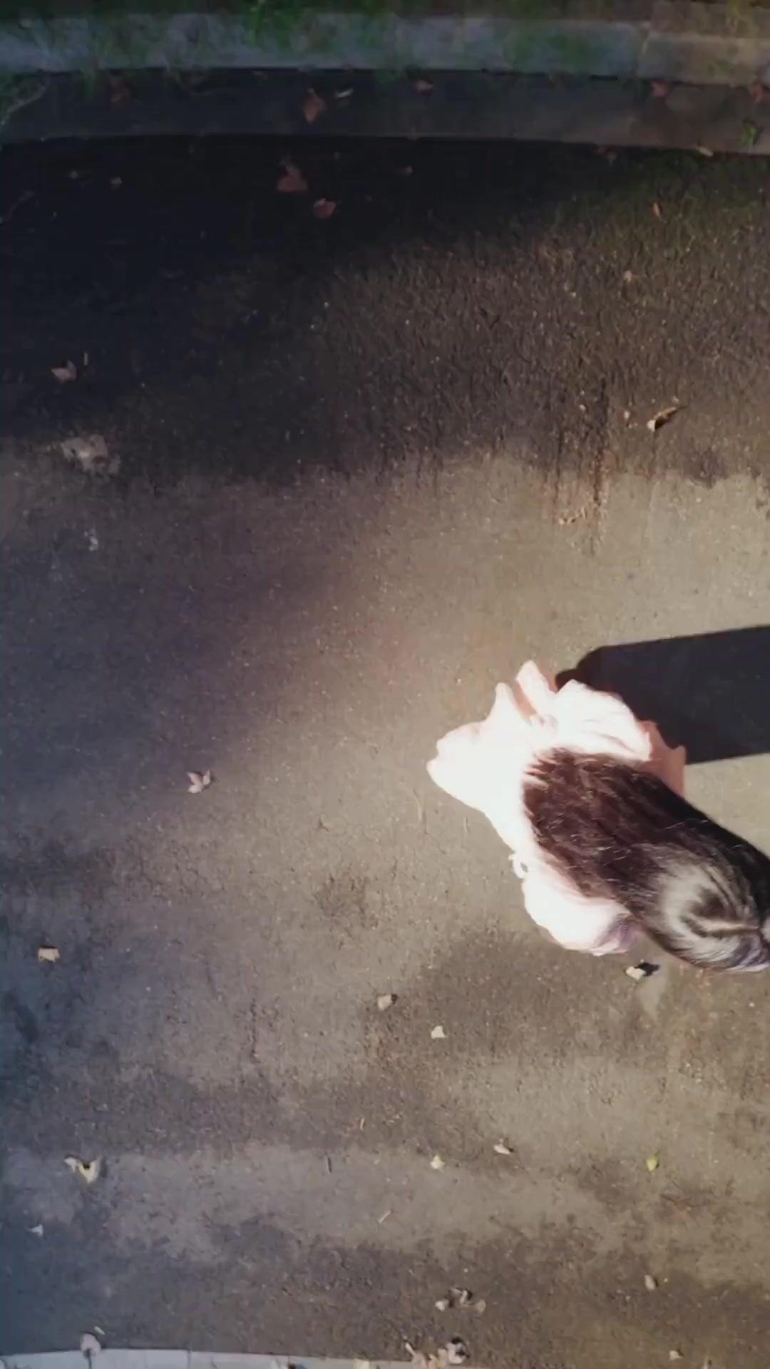 (Dubbed) Mr. Calculated & Ms. Wildfire