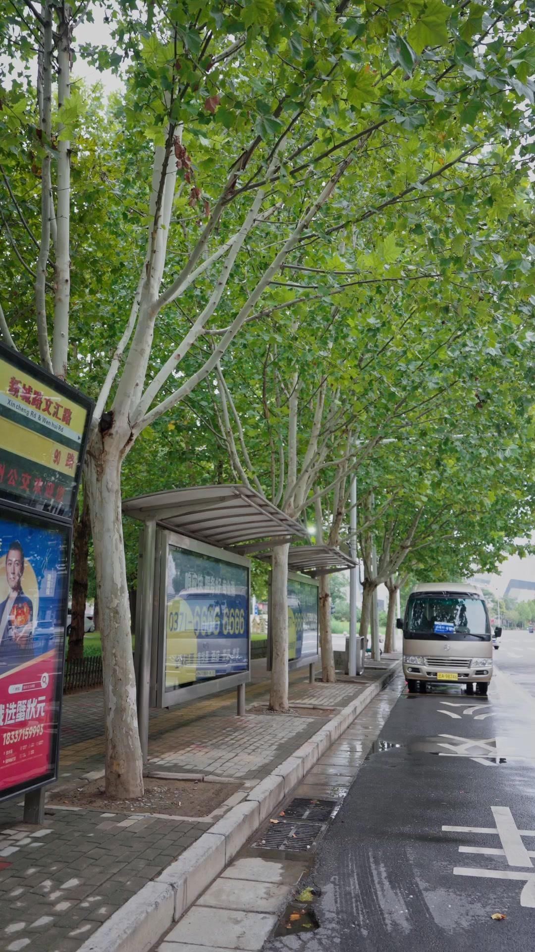 總裁的鄉野甜妻