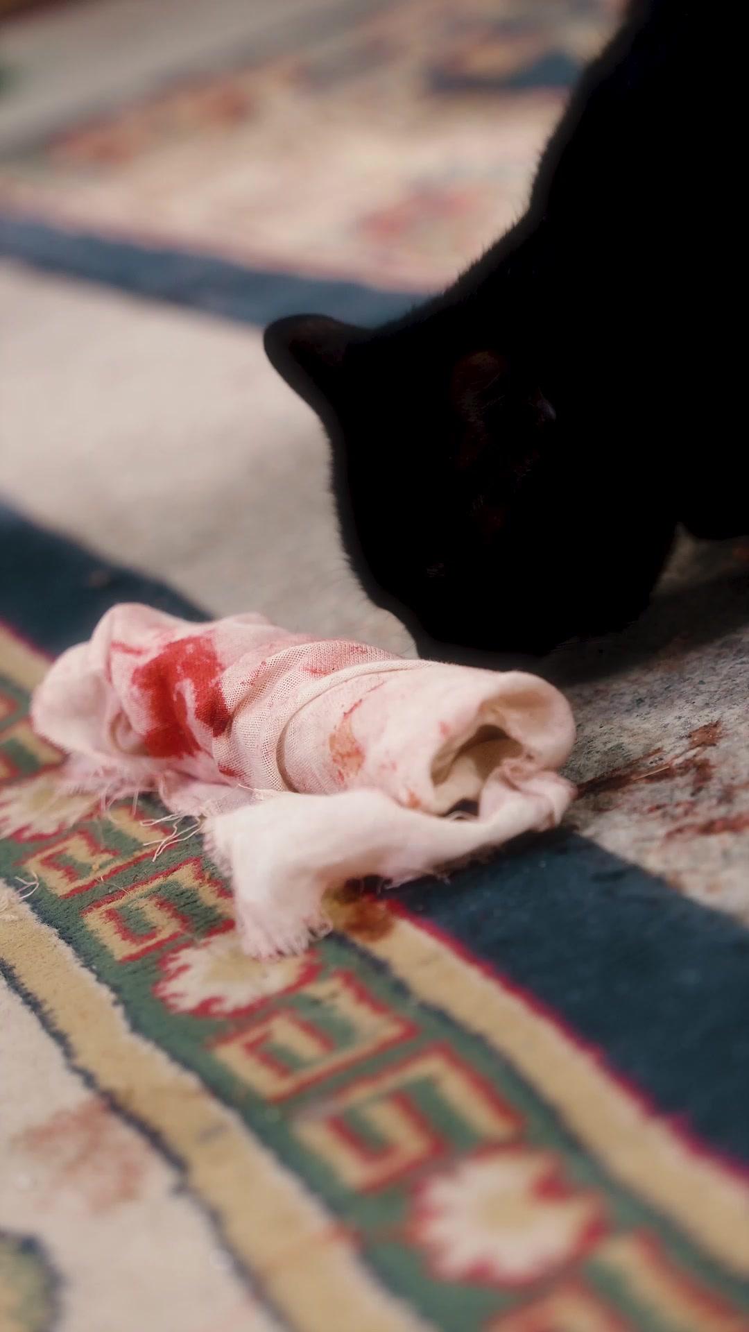 誰記當年女將軍