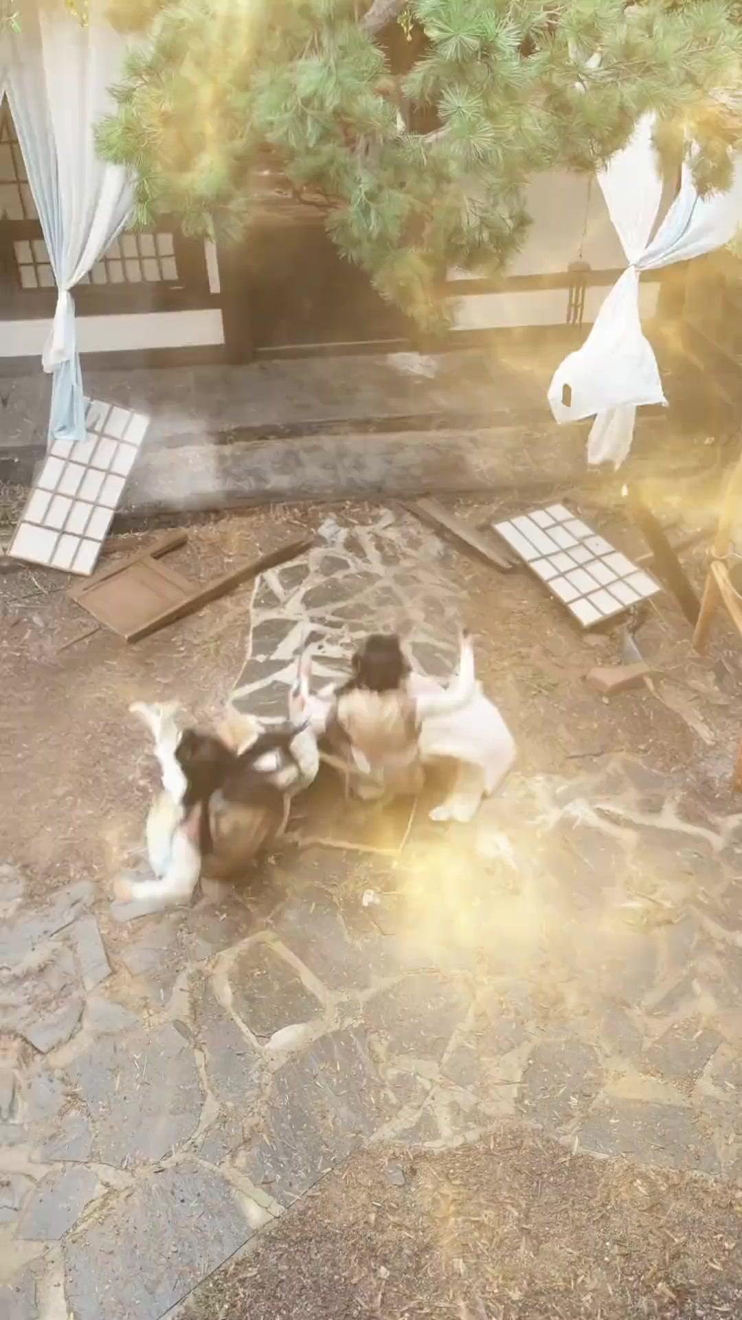 แก่ก็จริง แต่ระบบให้เทพ