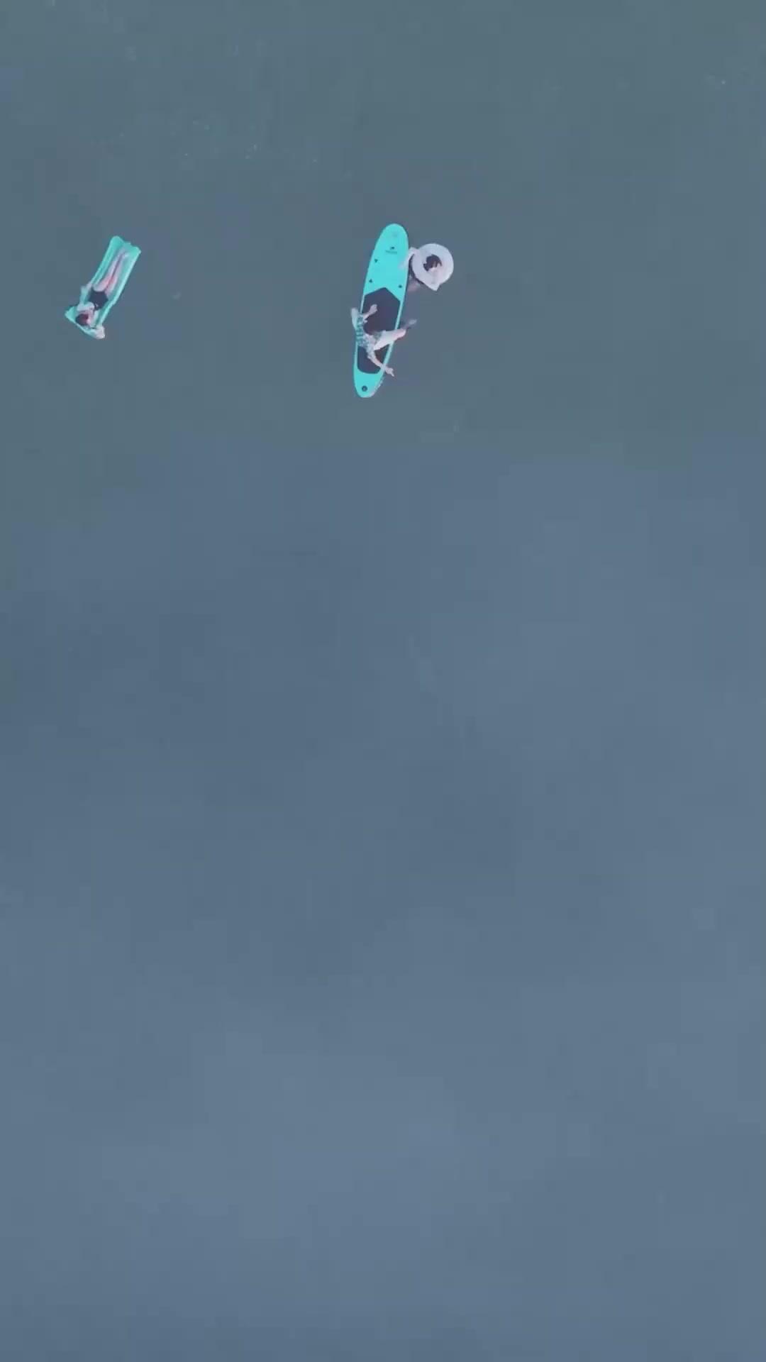 (Sulih suara) Tragedi Serangan Hiu Raksasa