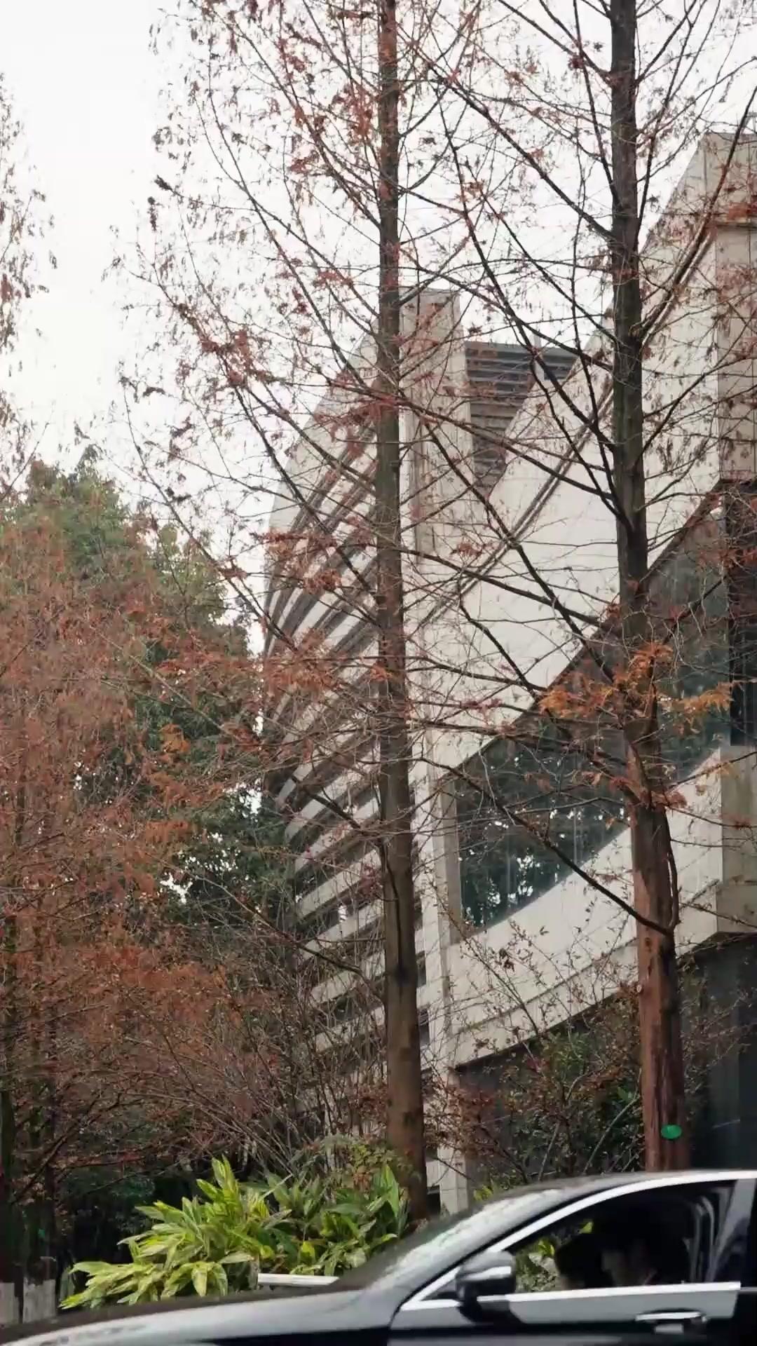 (더빙) 원나잇에서 시작된 사랑