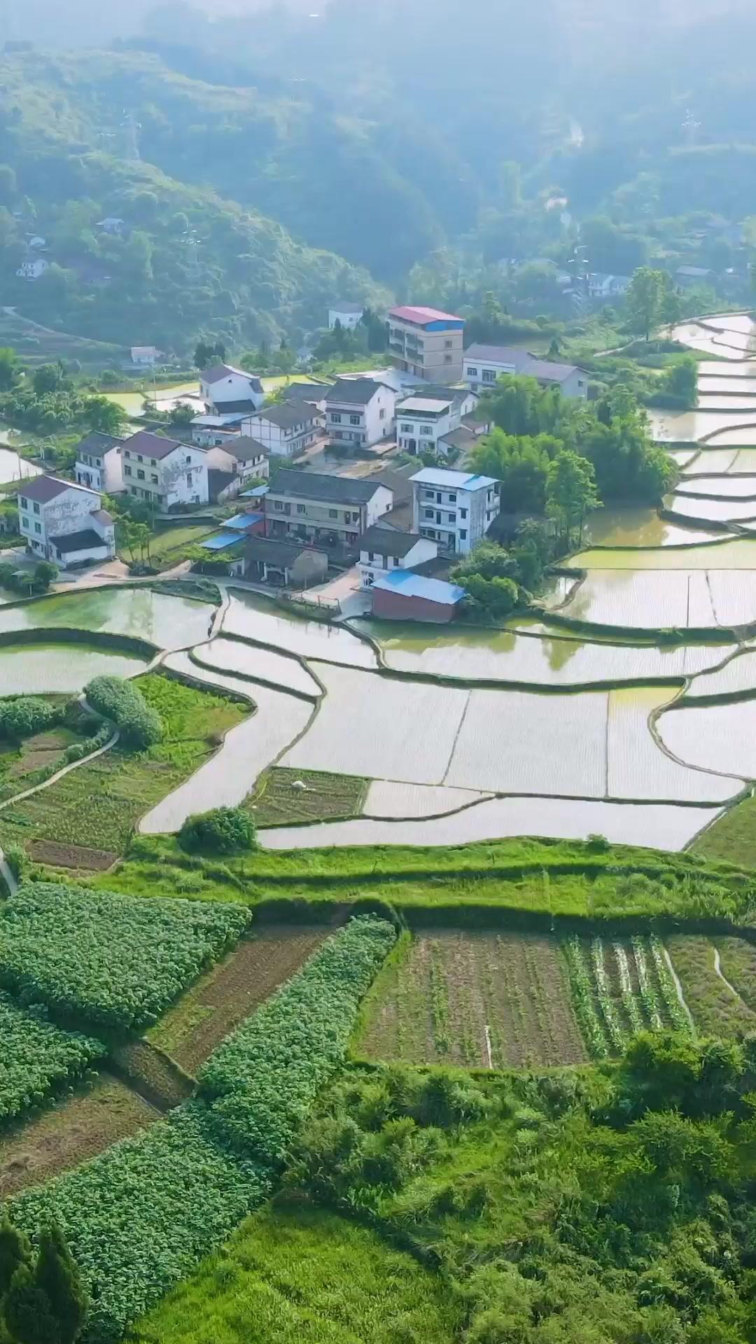 استفاق زوجي الغارق في الغيبوبة في ليلة زواجنا الثاني