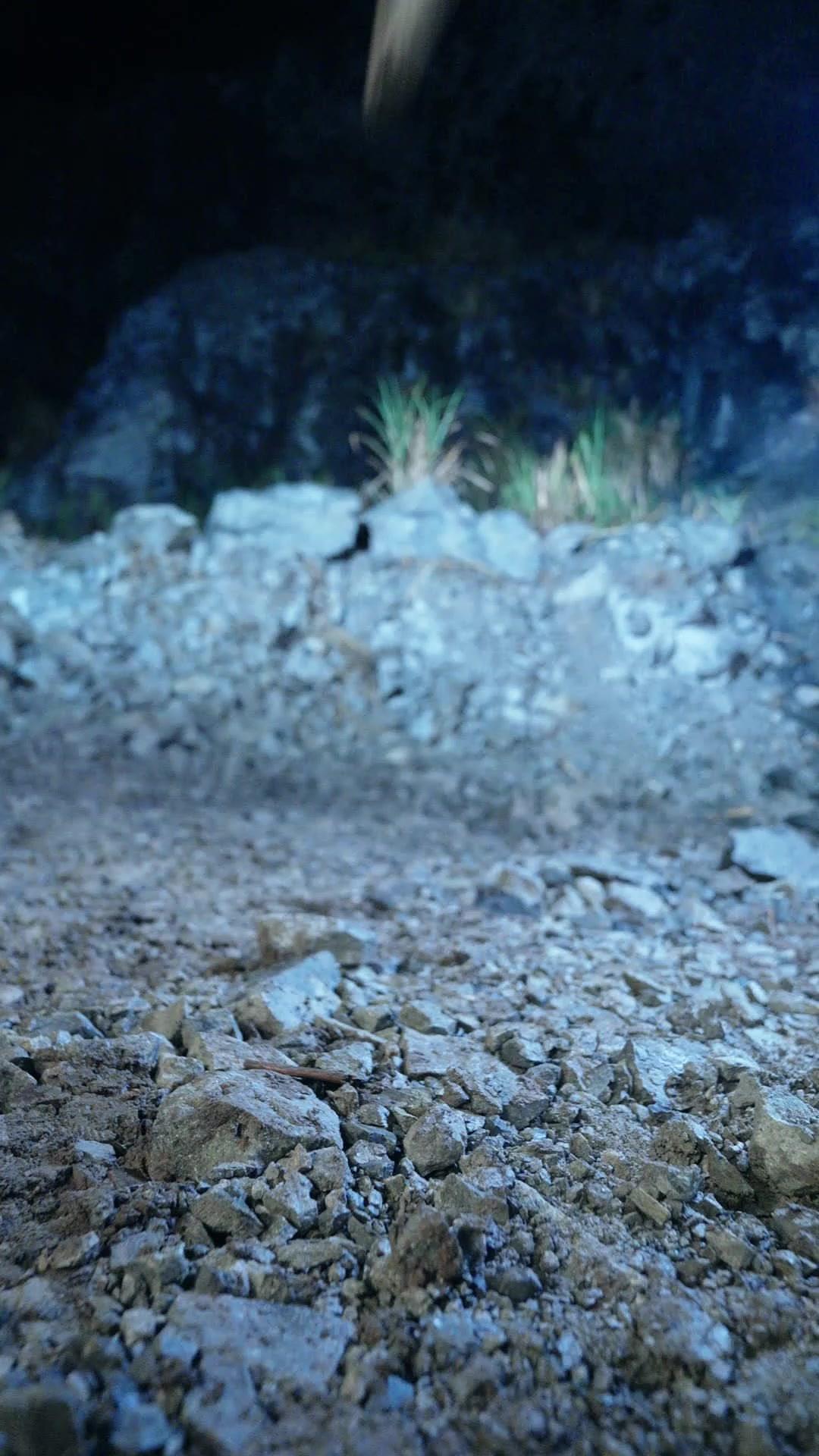 姊姊，朕來給你撐腰了