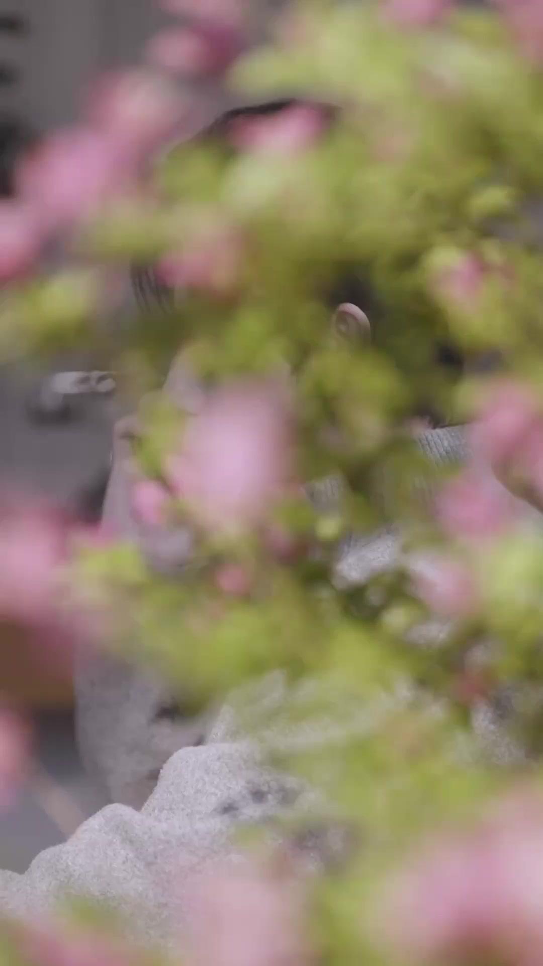 Tú con tu primer amor, yo con mi princesita