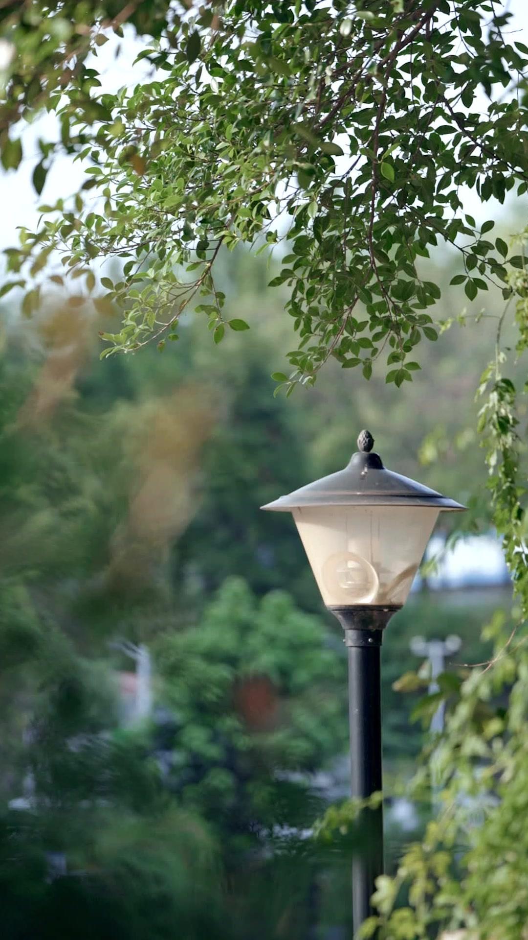 CEO’s Baby From Live Accident