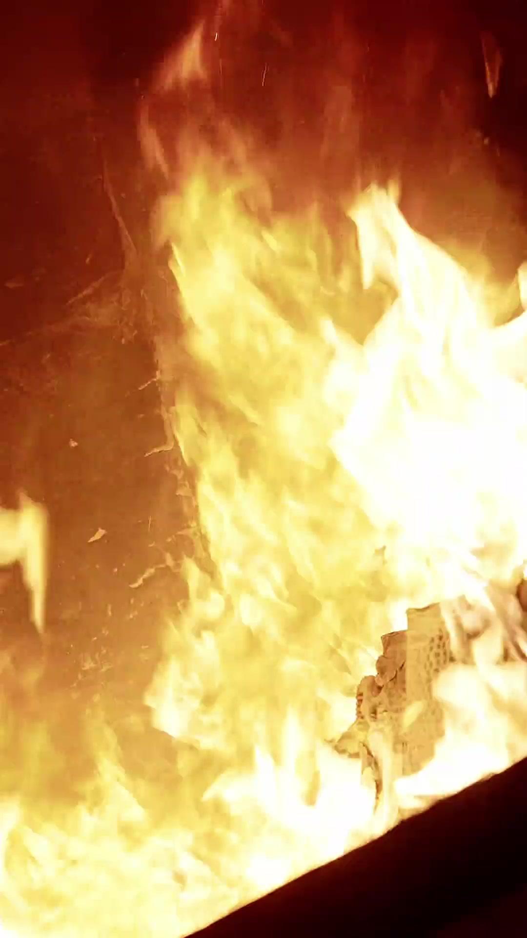 Got A CEO Wife and A Cute Girl