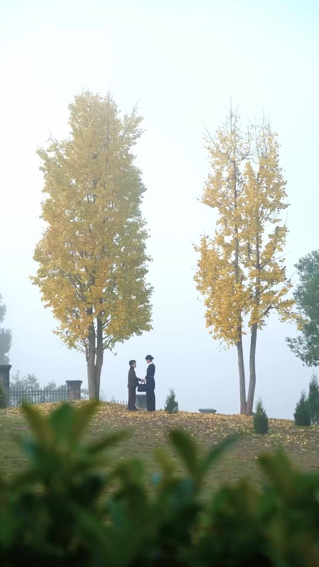 (Dublajlı)Küçük Bilardo Ustası Kolay Lokma Değil