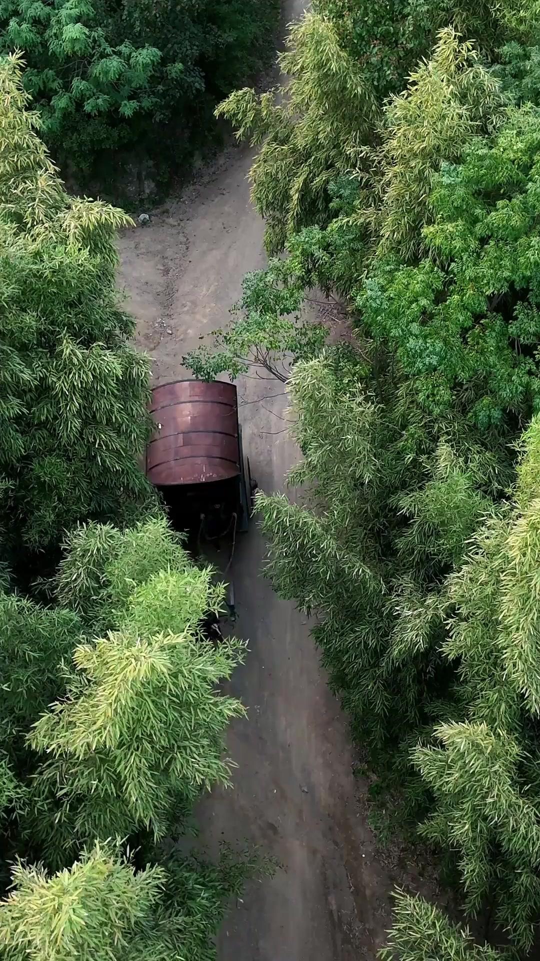 A Herdeira Sem Piedade