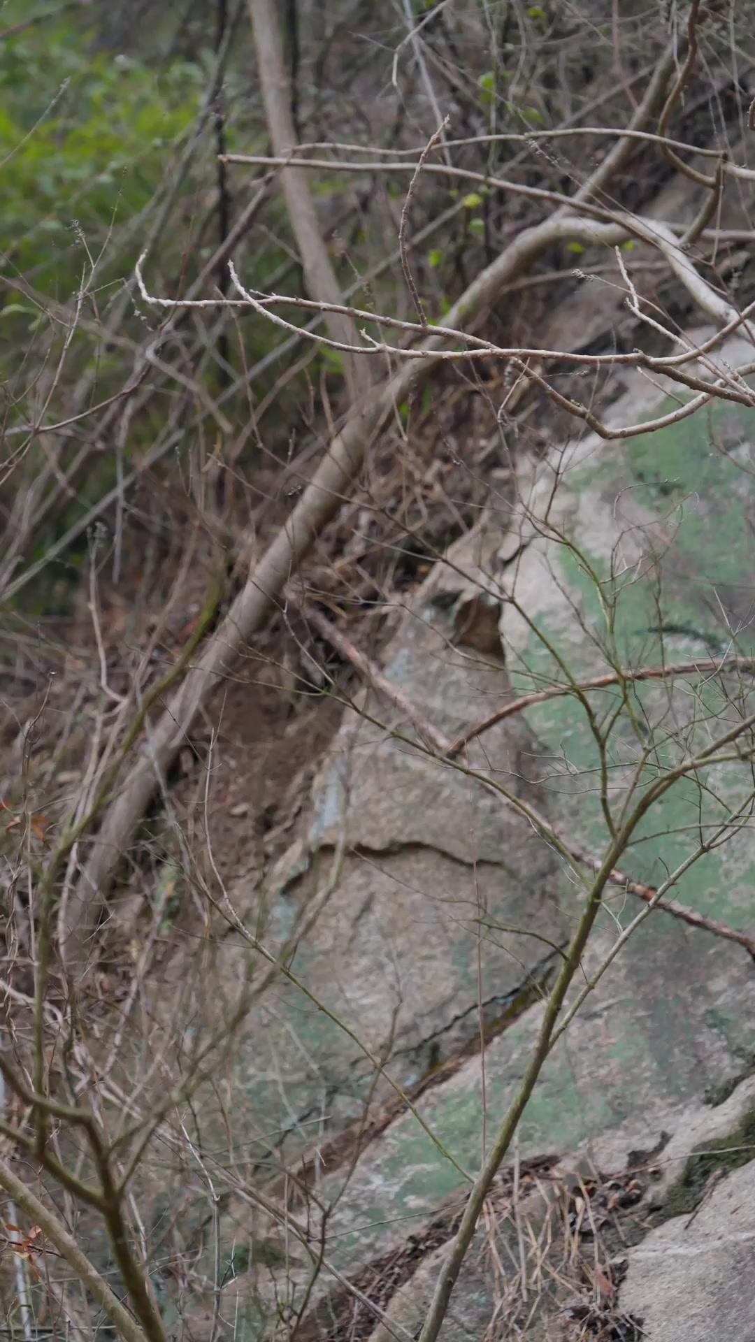 Geliebter Verhüllter