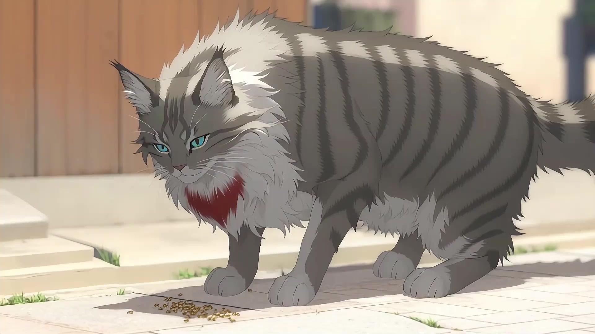 猫死神、寿命チートでハーレム！？