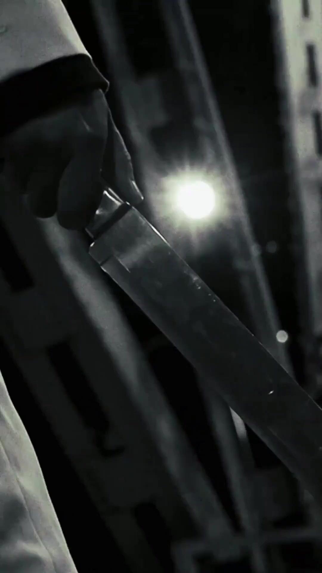 (พากย์เสียง) มังกรเดือด