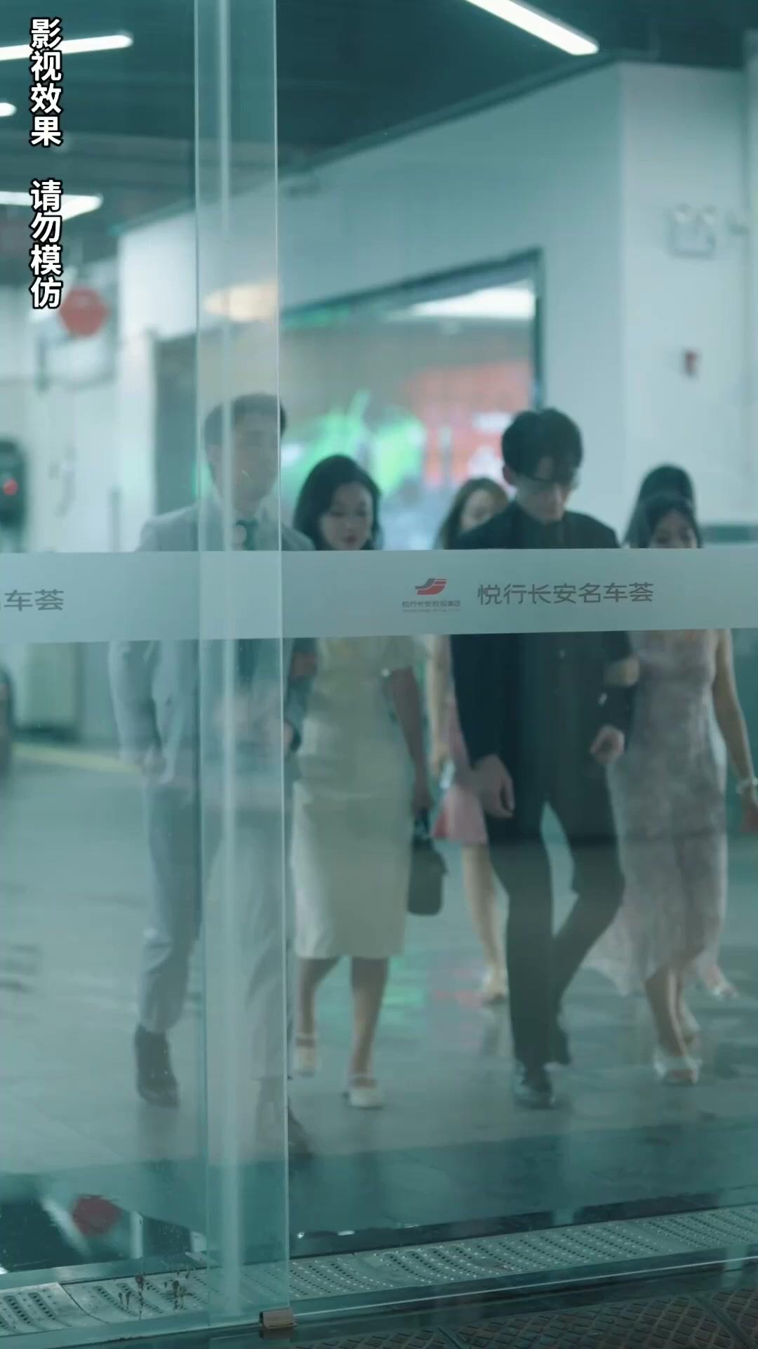 A Herdeira Disfarçada