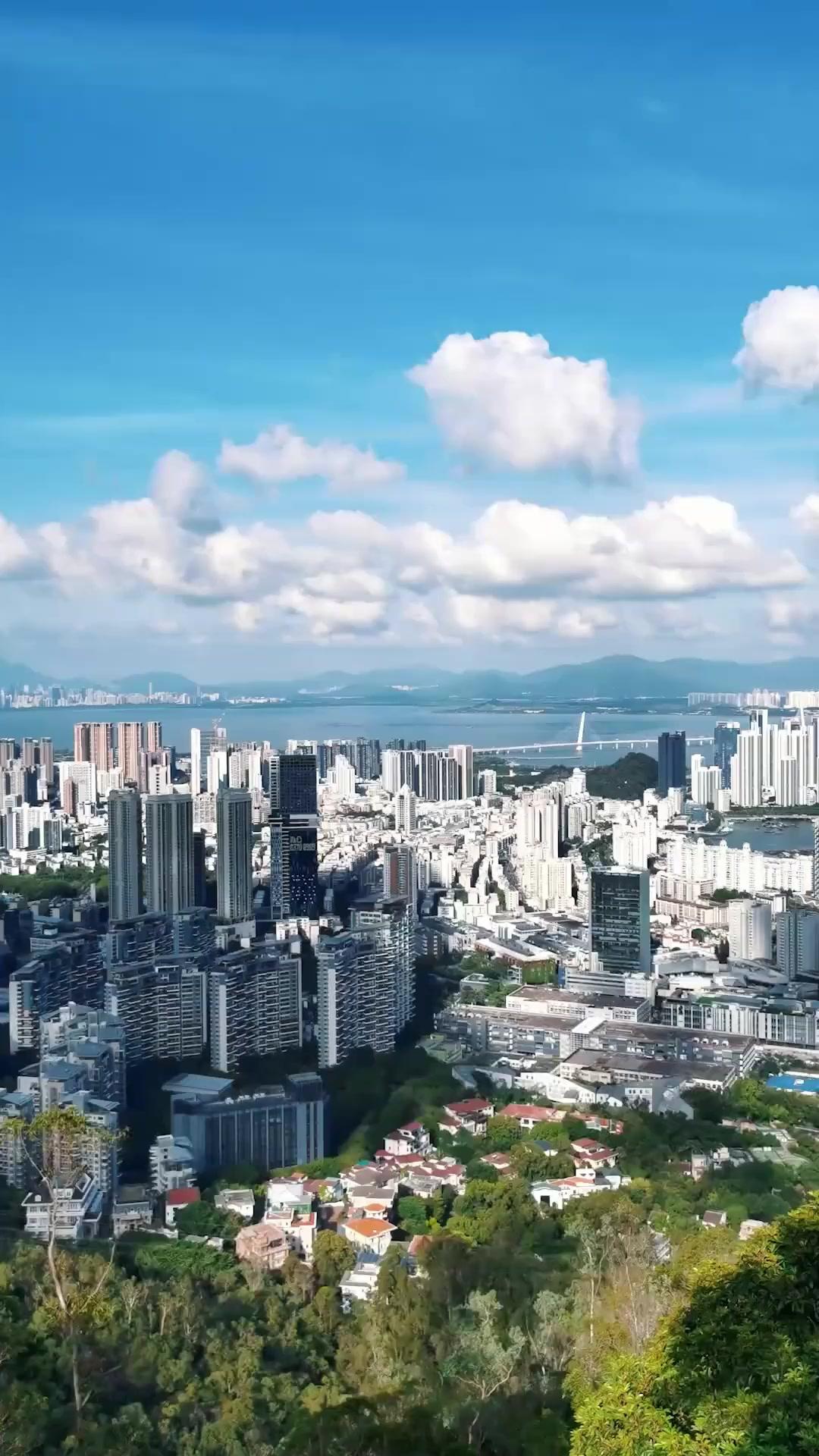 花と話す少女、おてんば娘の探偵日記