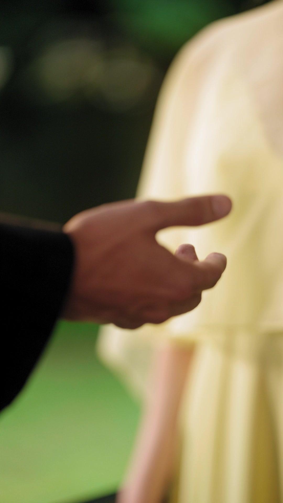 The Alpha King's Fated Virgin Bride