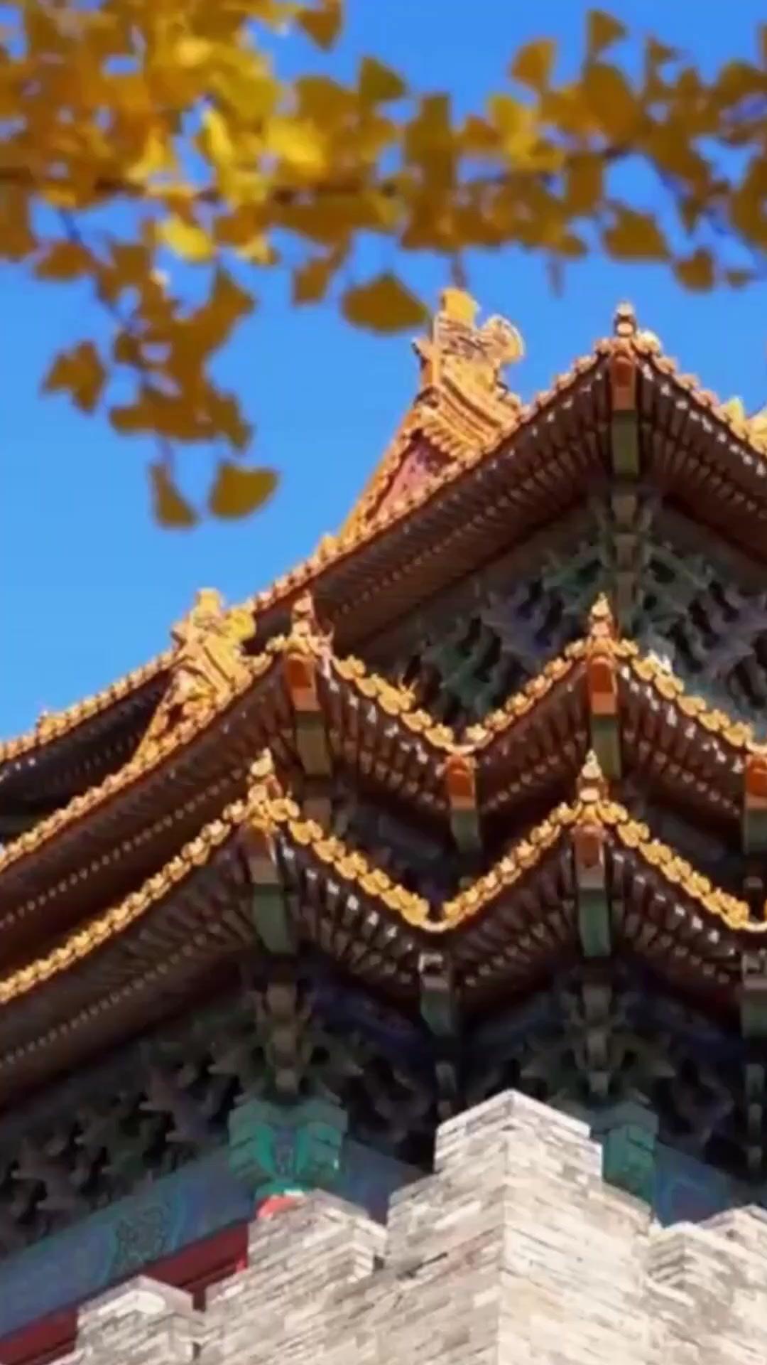 (Dubbed) My Ending, My Choice