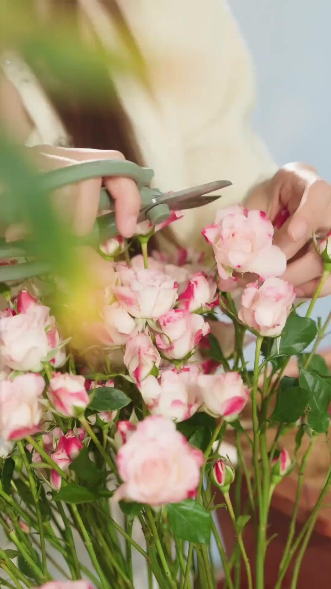 يوم الطلاق: حين استيقظ نظام تدليل الزوجة