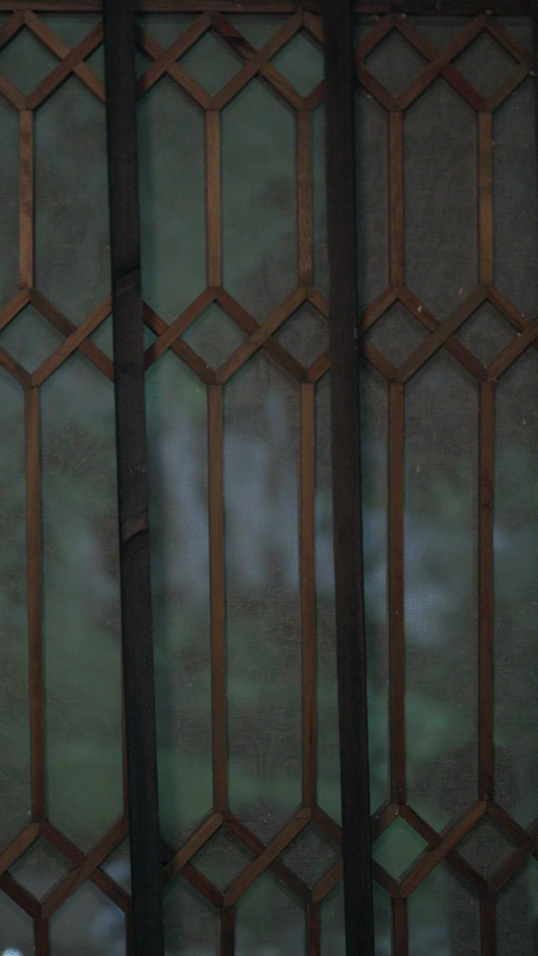 雙生為祭，惡犬成凰