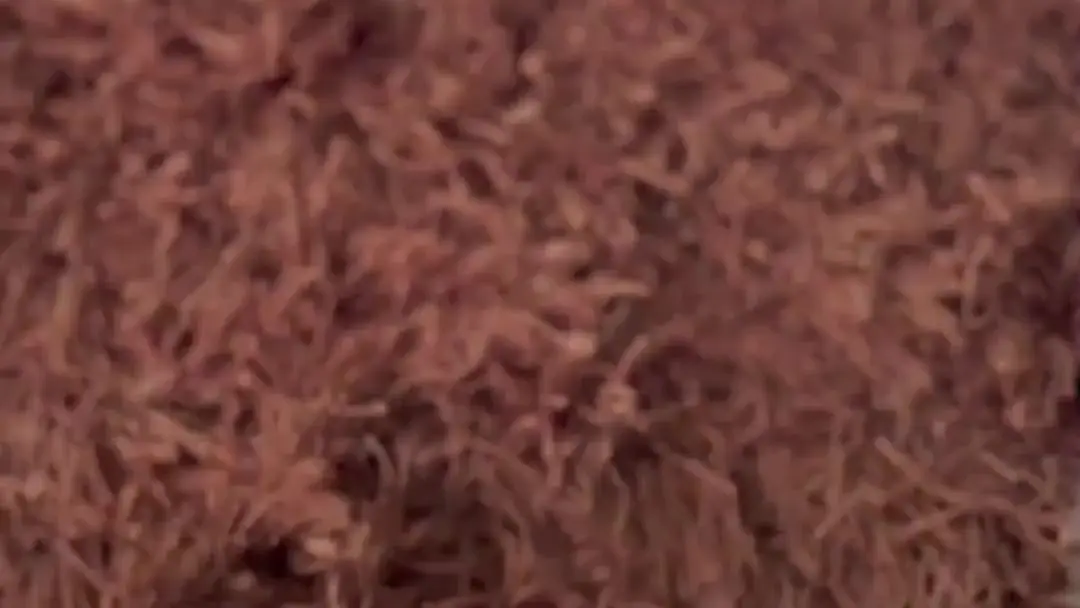 (Dubsing) Semakin Boros, Rezeki Justru Lancar: Kontrak Cinta yang Tak Terduga di Villa