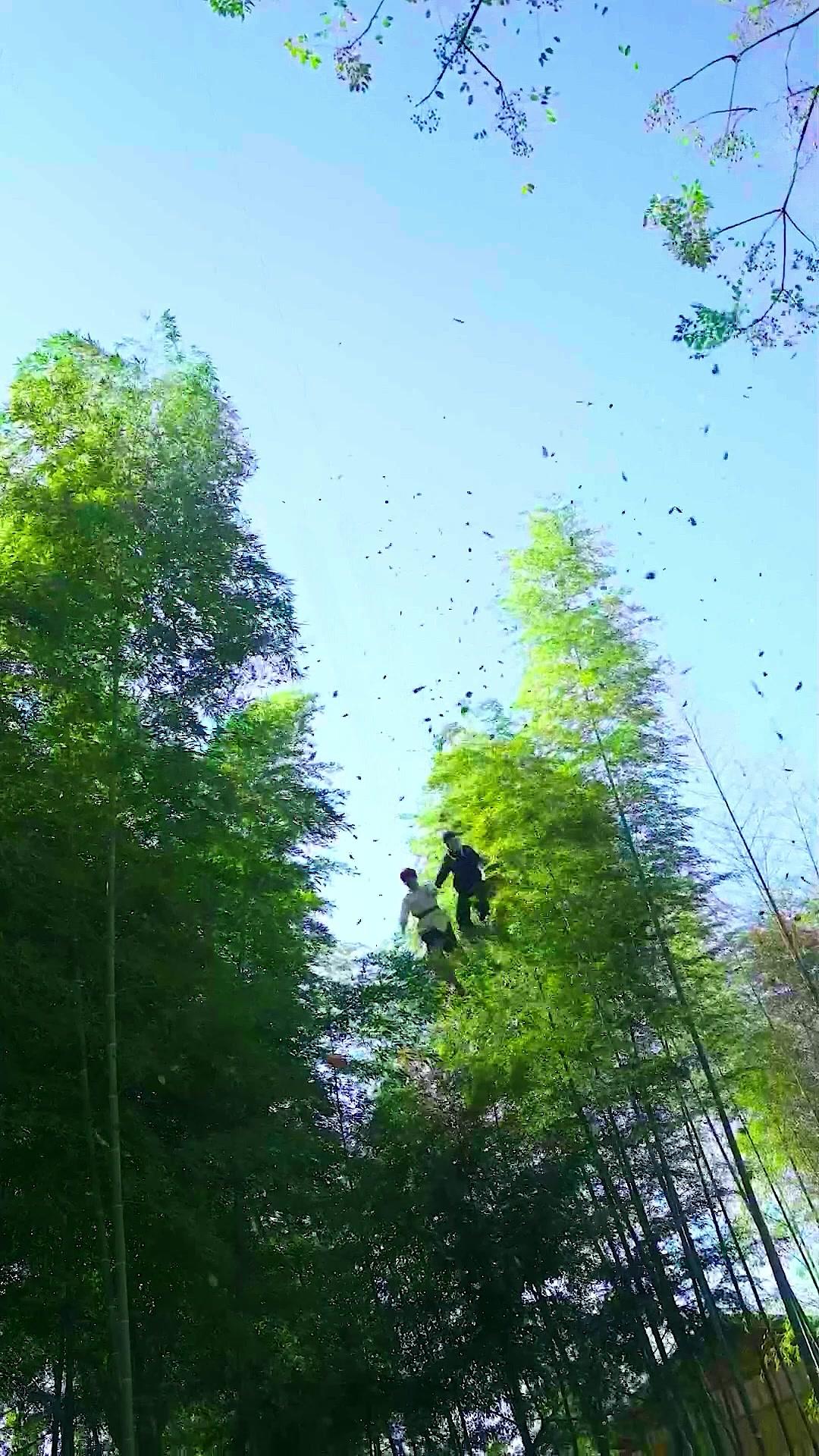 Forced to Marry My CEO