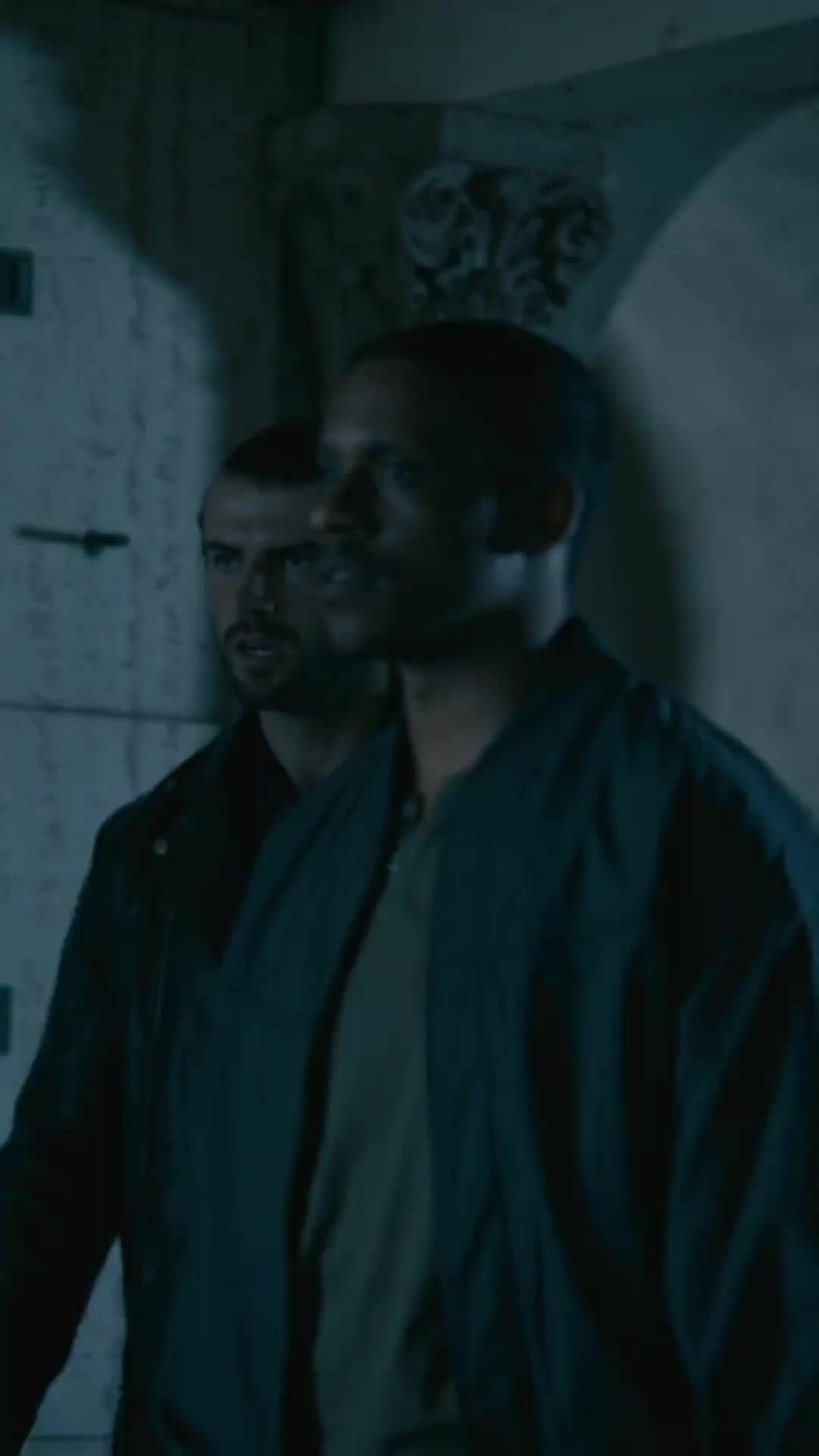 MON ROI ALPHA AU SANG FROID