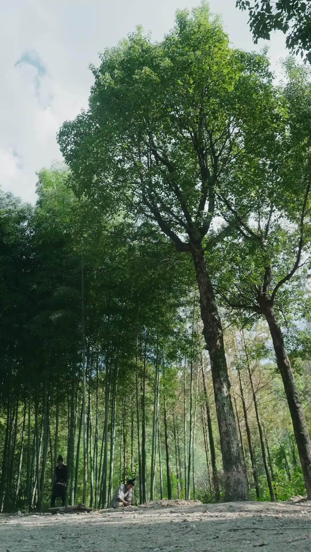 Taşın Altındaki Işık