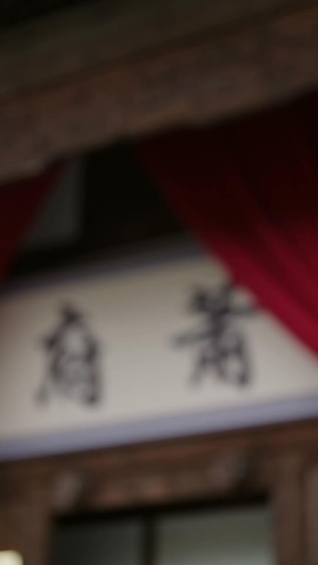 重生後我破局反殺震武林