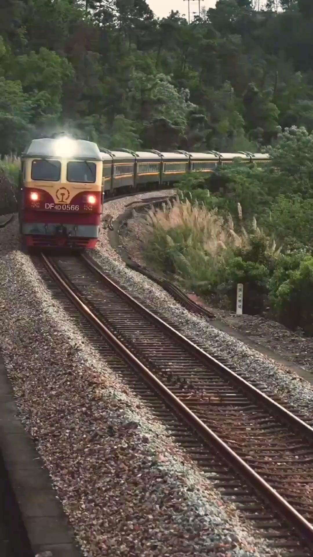 Reinkarnasi di1990 jadi dokter terhebat