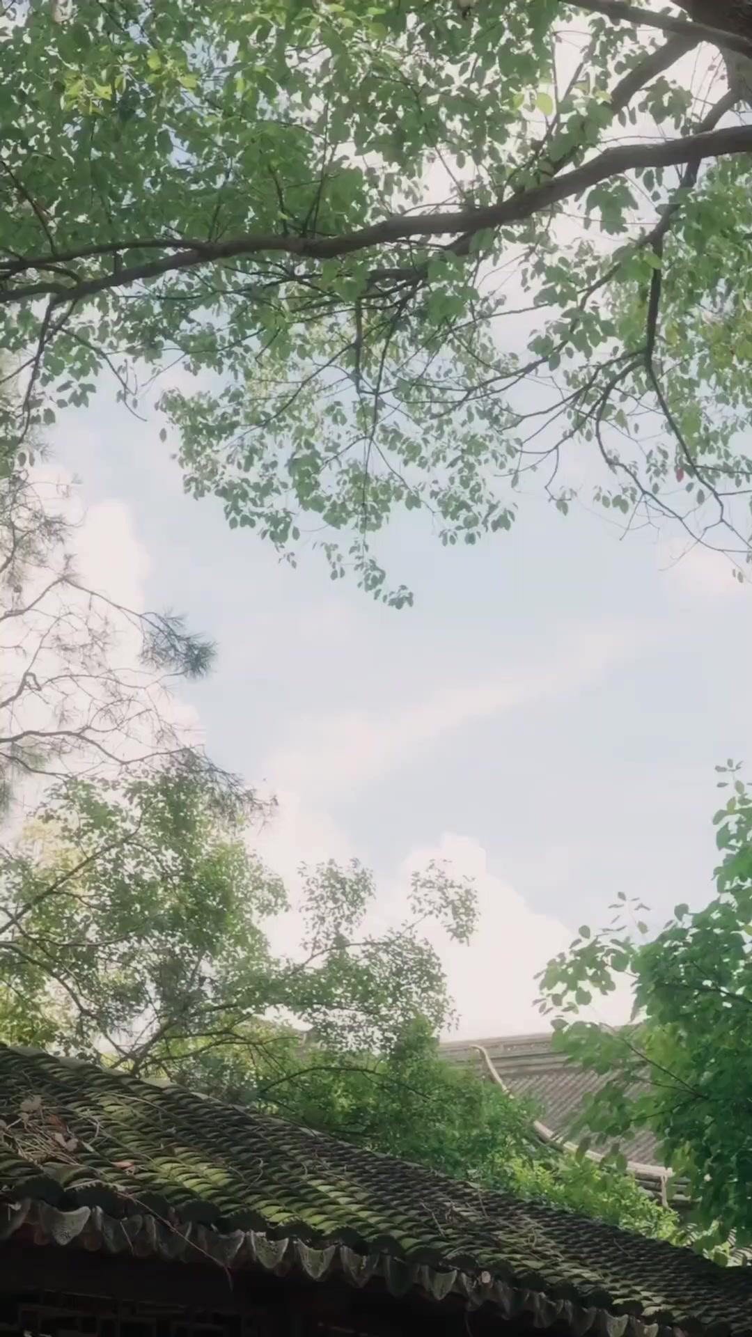 Anos de Amor, Vida ao Seu Lado