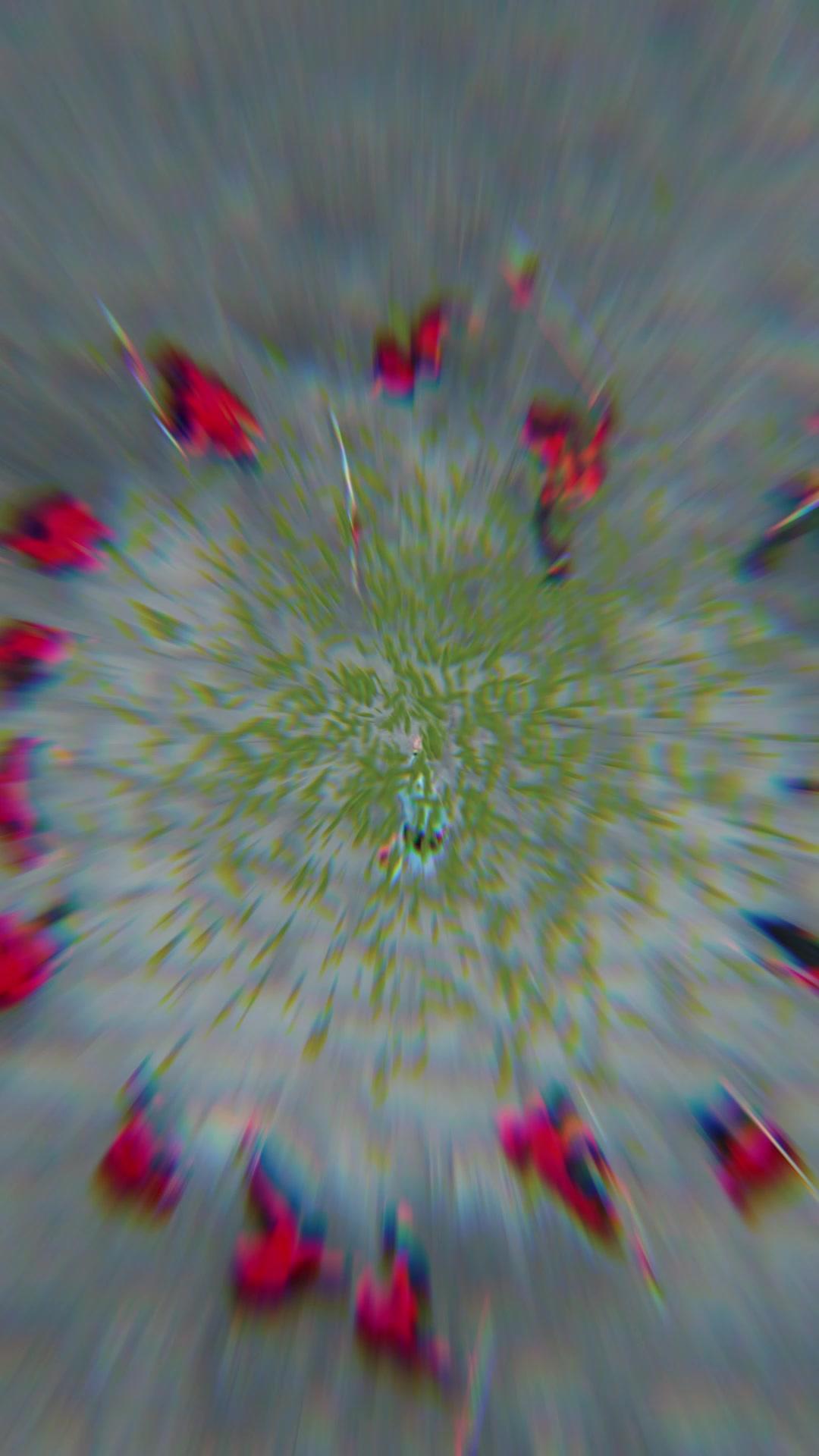 Jangan Berisik, Dewa Silat Lahir