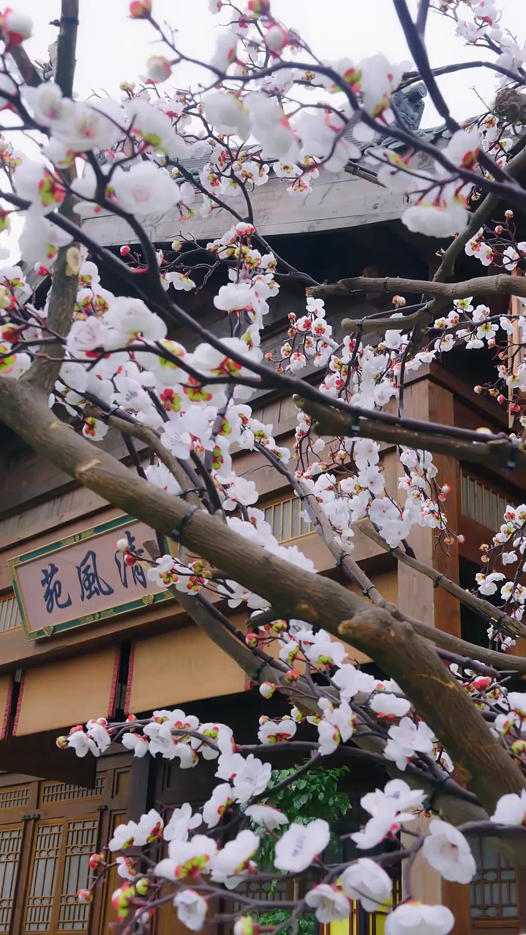 Die Prinzessin und ihr Doppelspiel