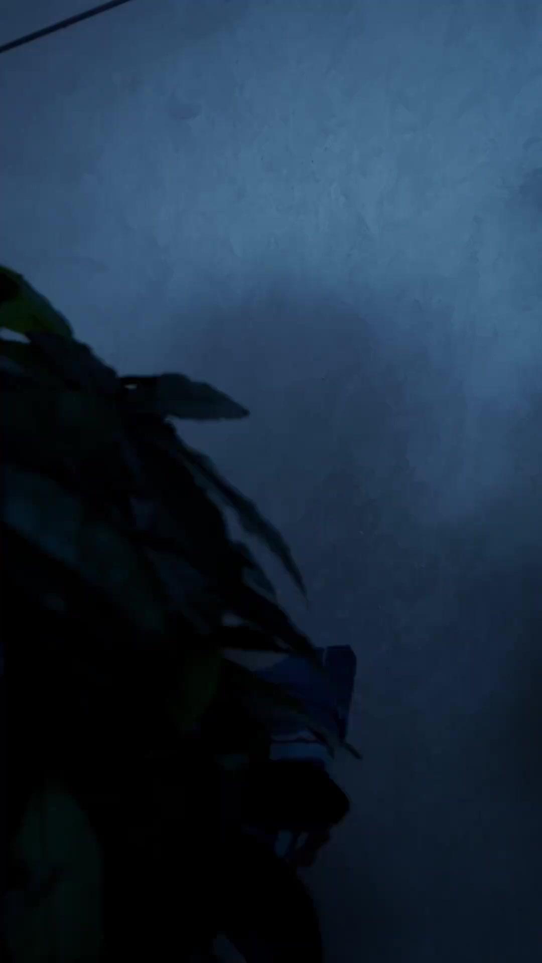 Beş Yıllik Sır ve İkiz Kader