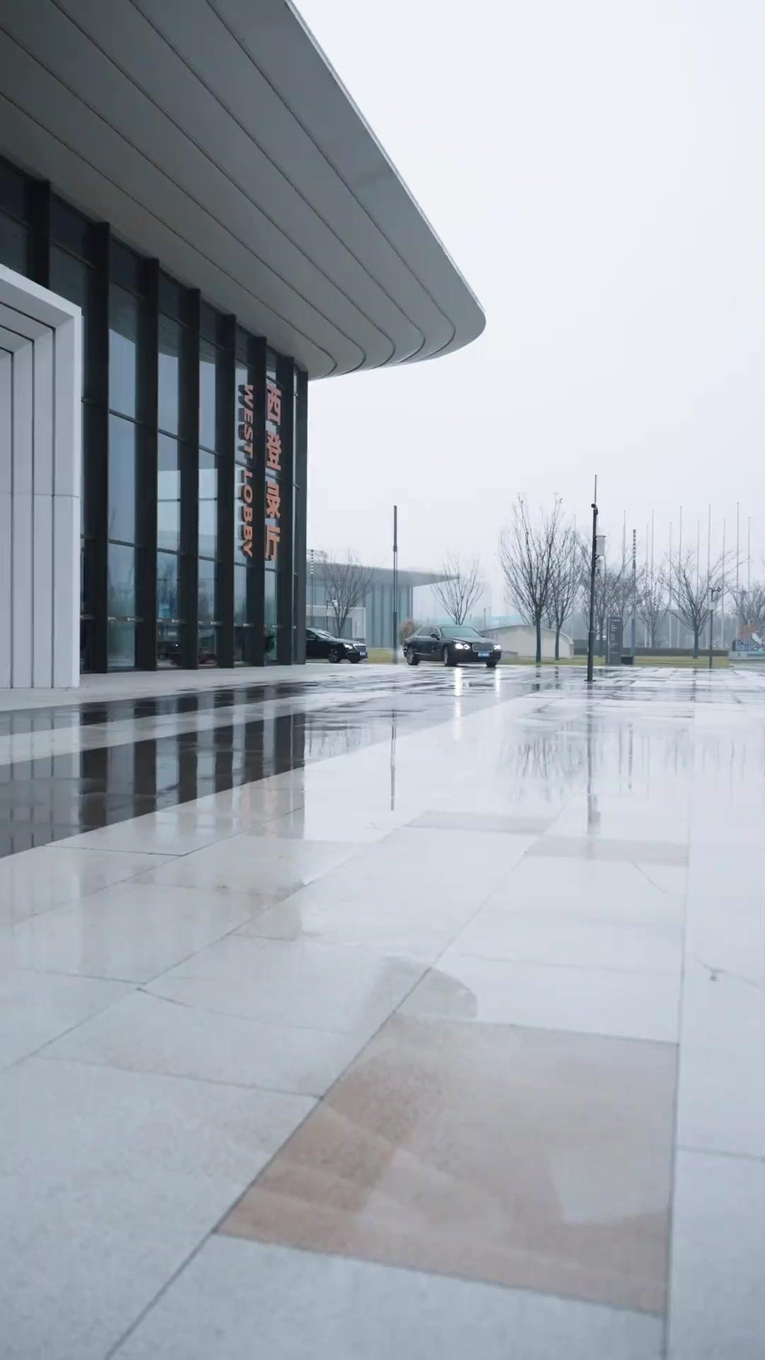 My Bodyguard is the Death Lord!