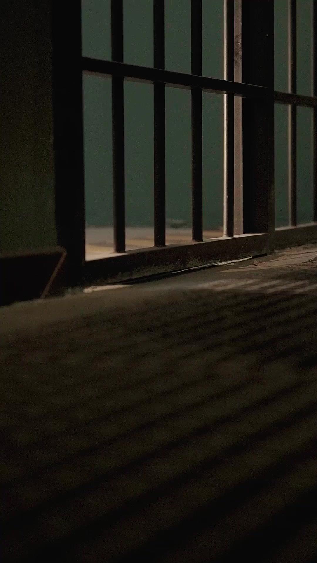 Il Ritorno della Gazza