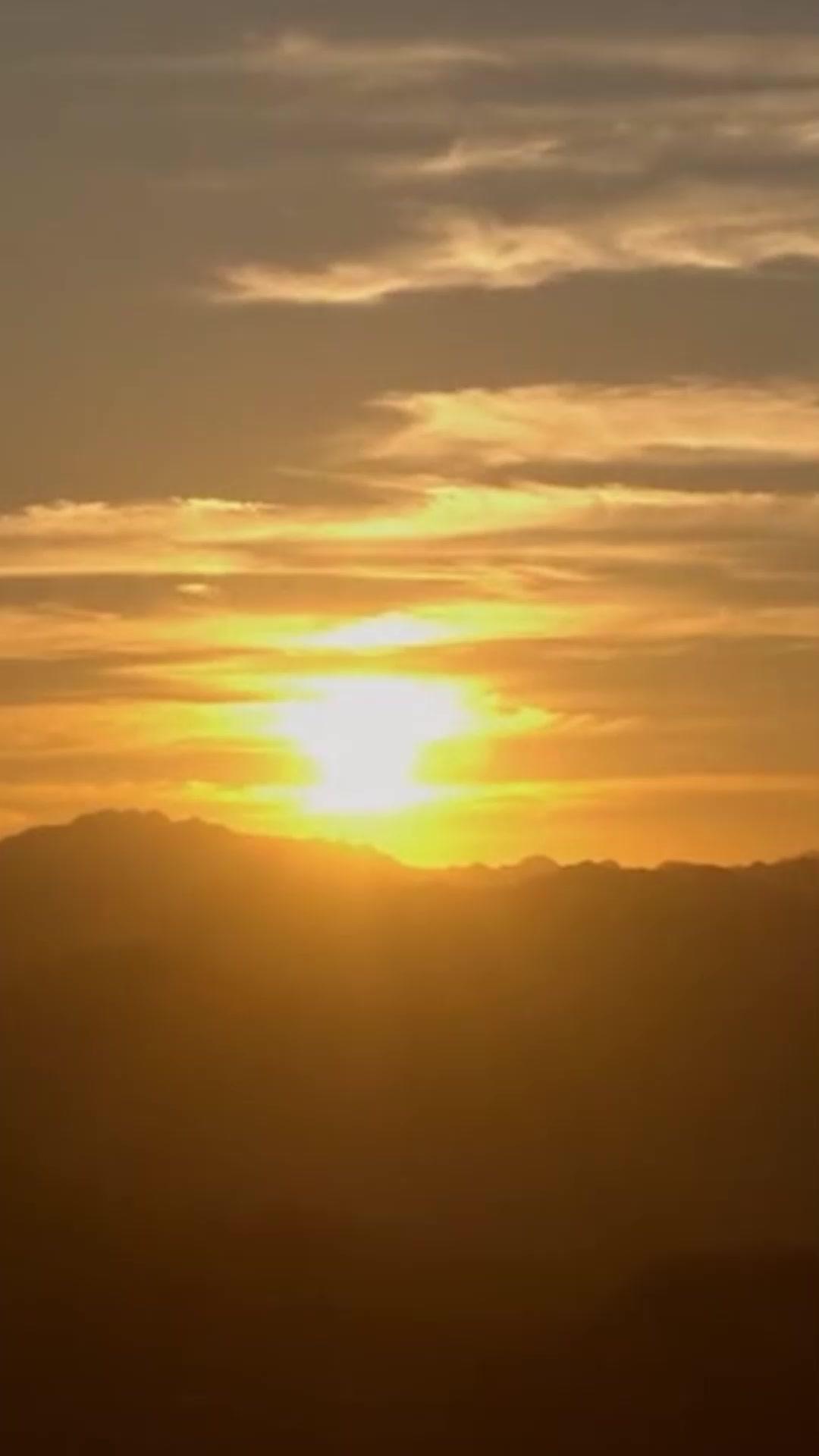 野丫頭是終極殺手