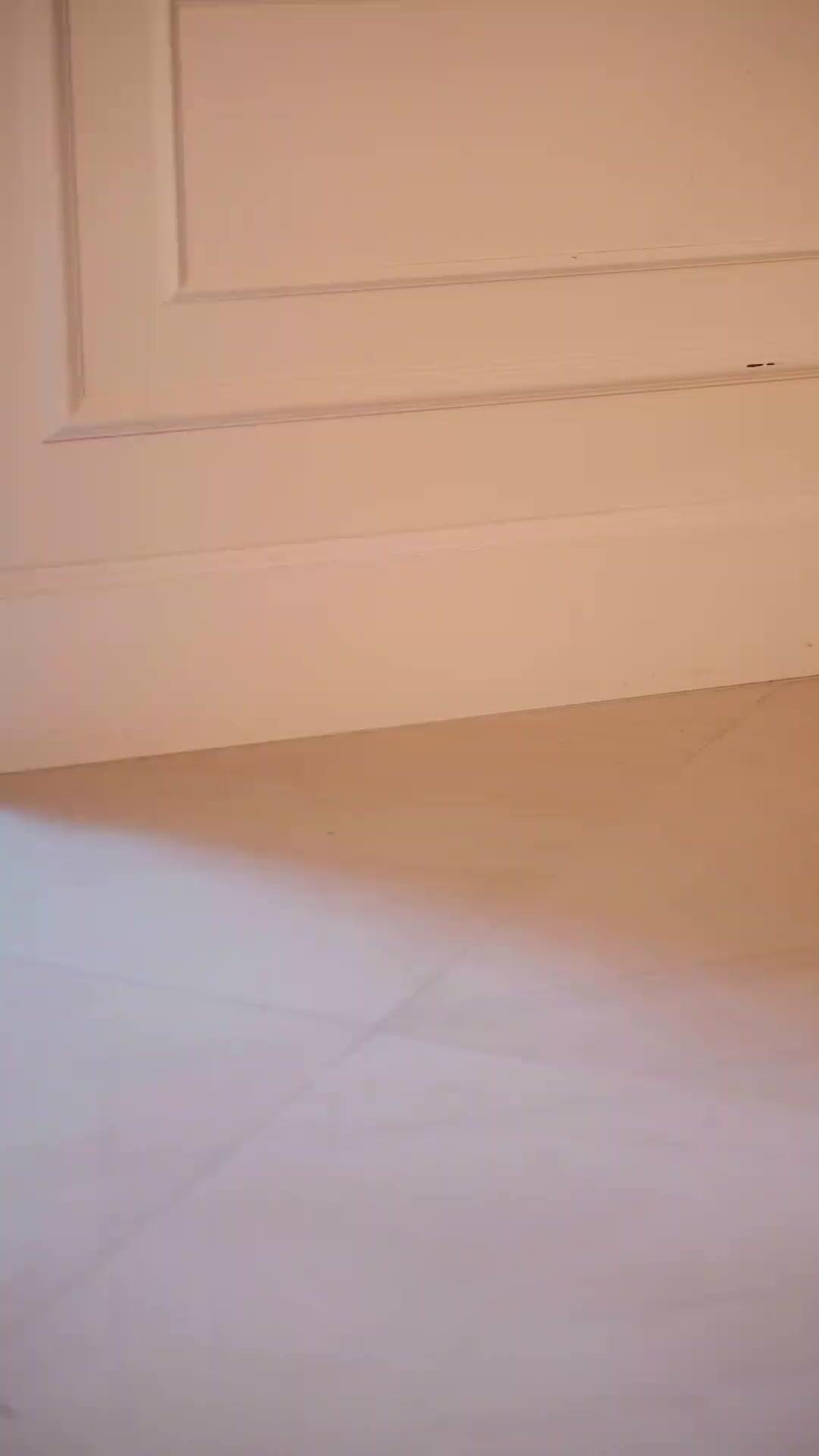 (Dublagem)A Noiva Predestinada do Rei Alpha