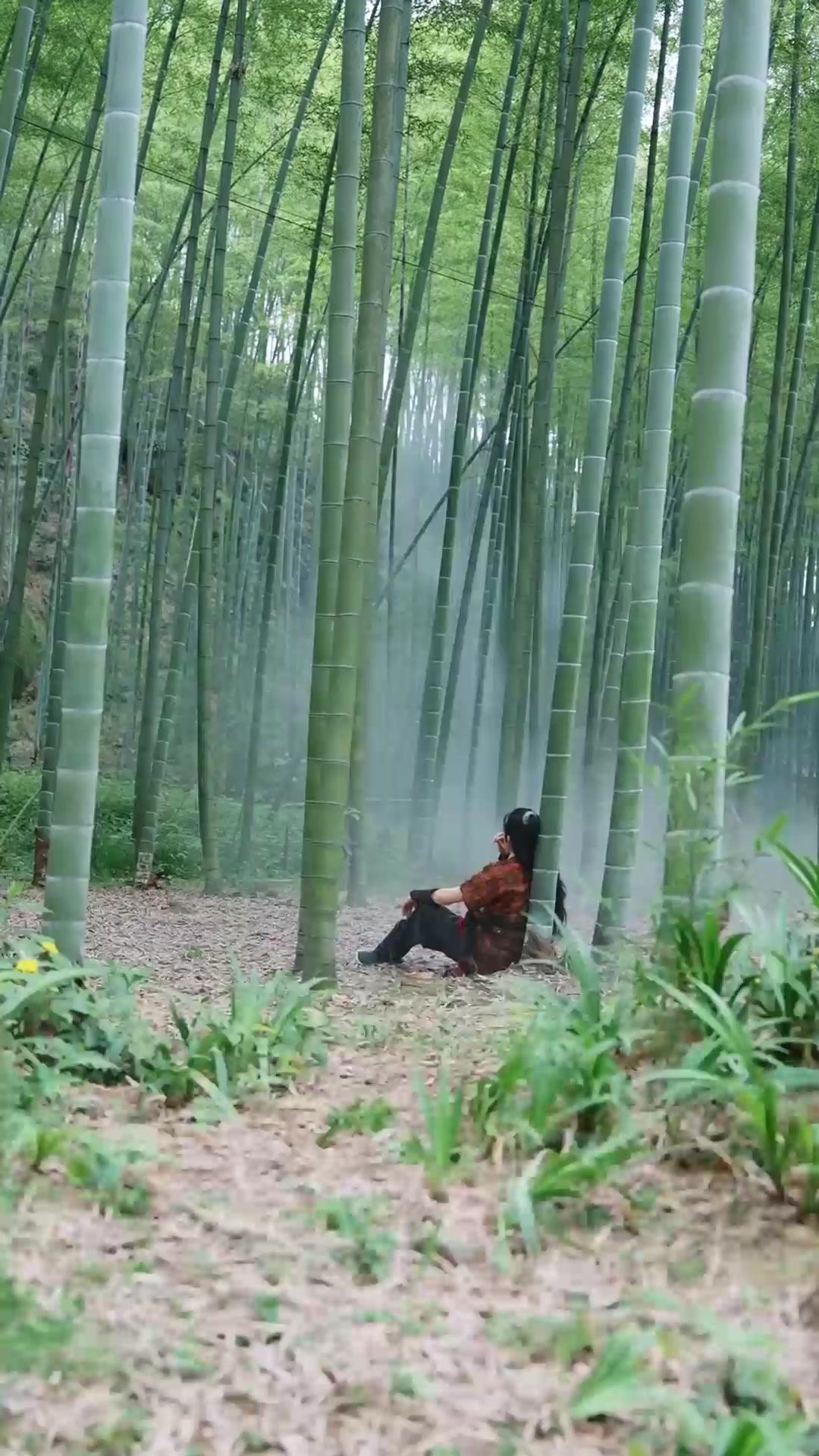 (더빙)만렙 뉴비