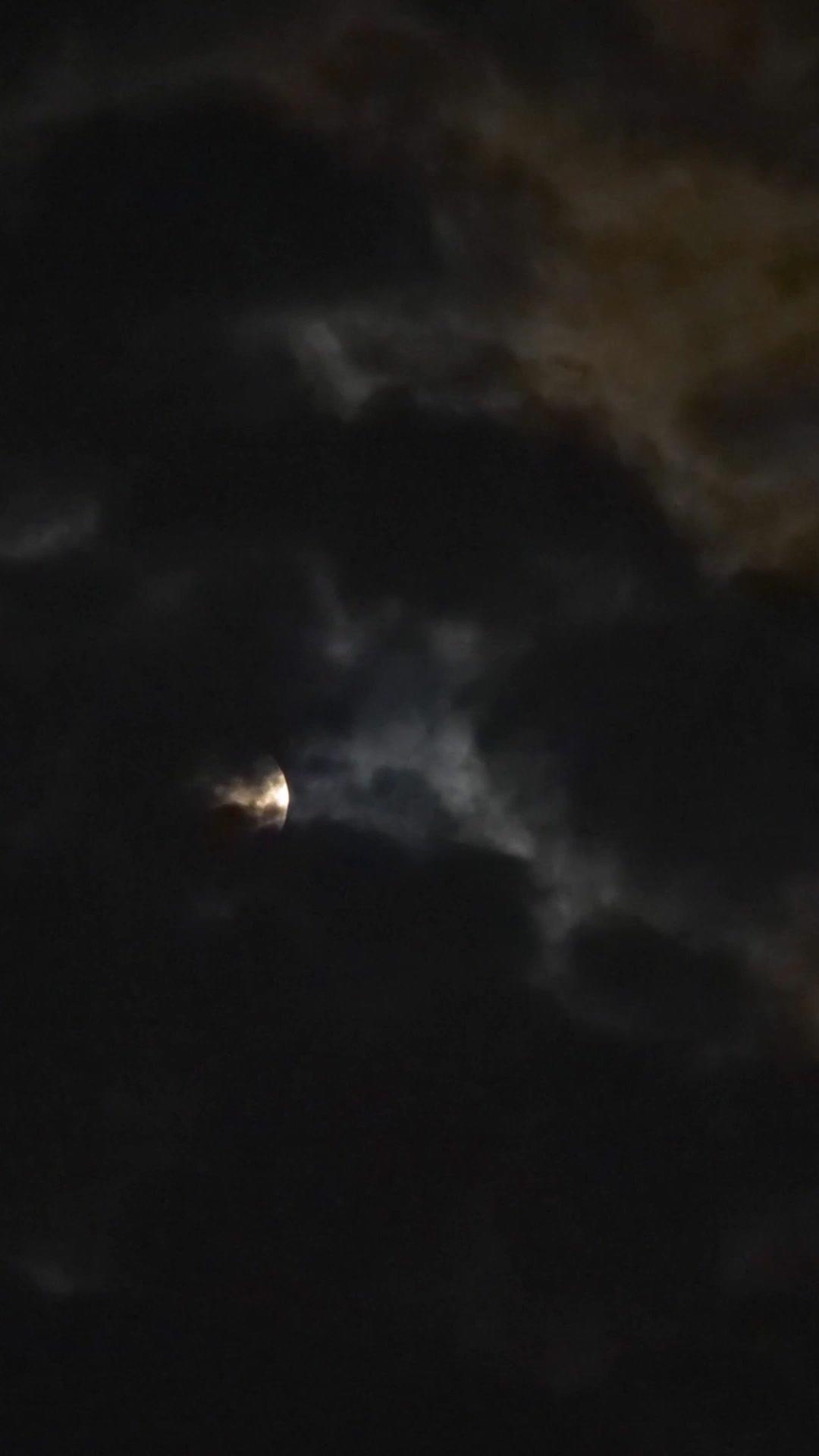 MON PDG EST UN LOUP-GAROU