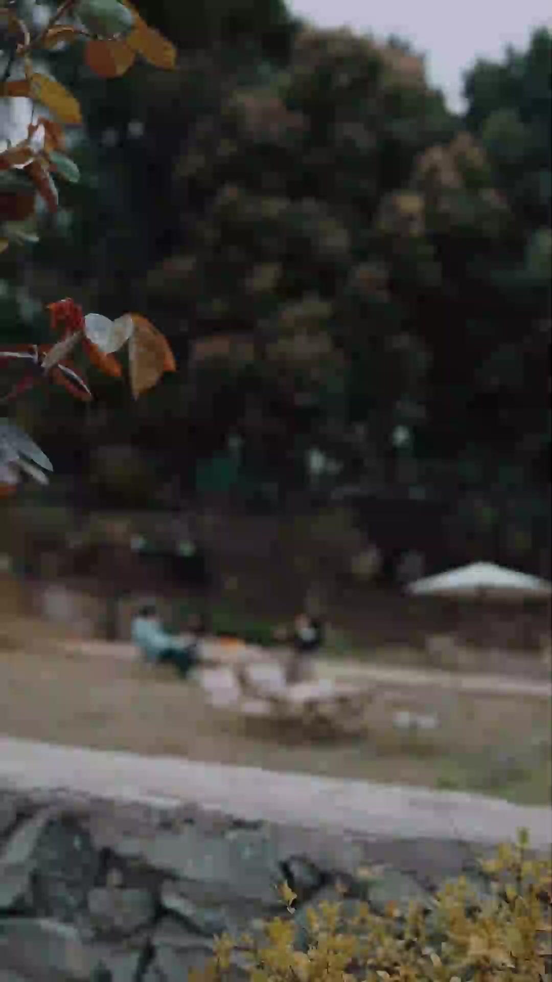 (พากย์เสียง)งูเหลือมยักษ์มาแล้ว