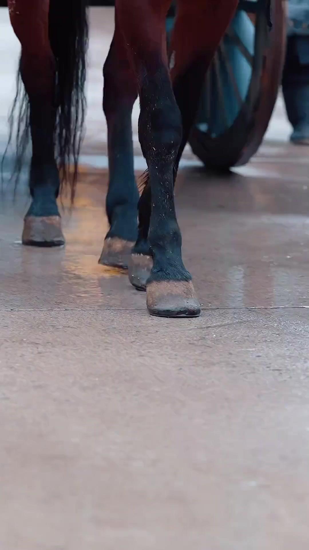 Genggam Tombak Merah, Dendam Pun Tertebus