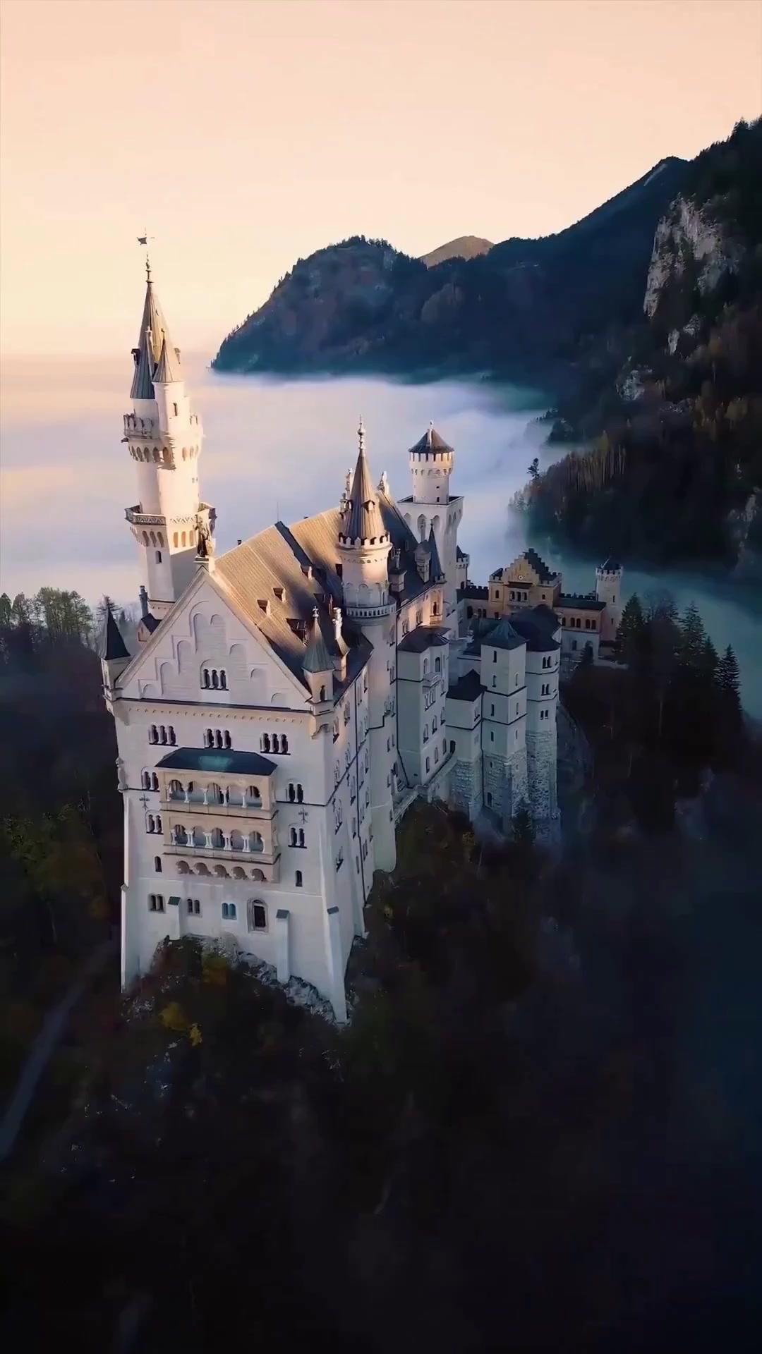 (Doublage) MARQUÉE PAR MON LYCAN