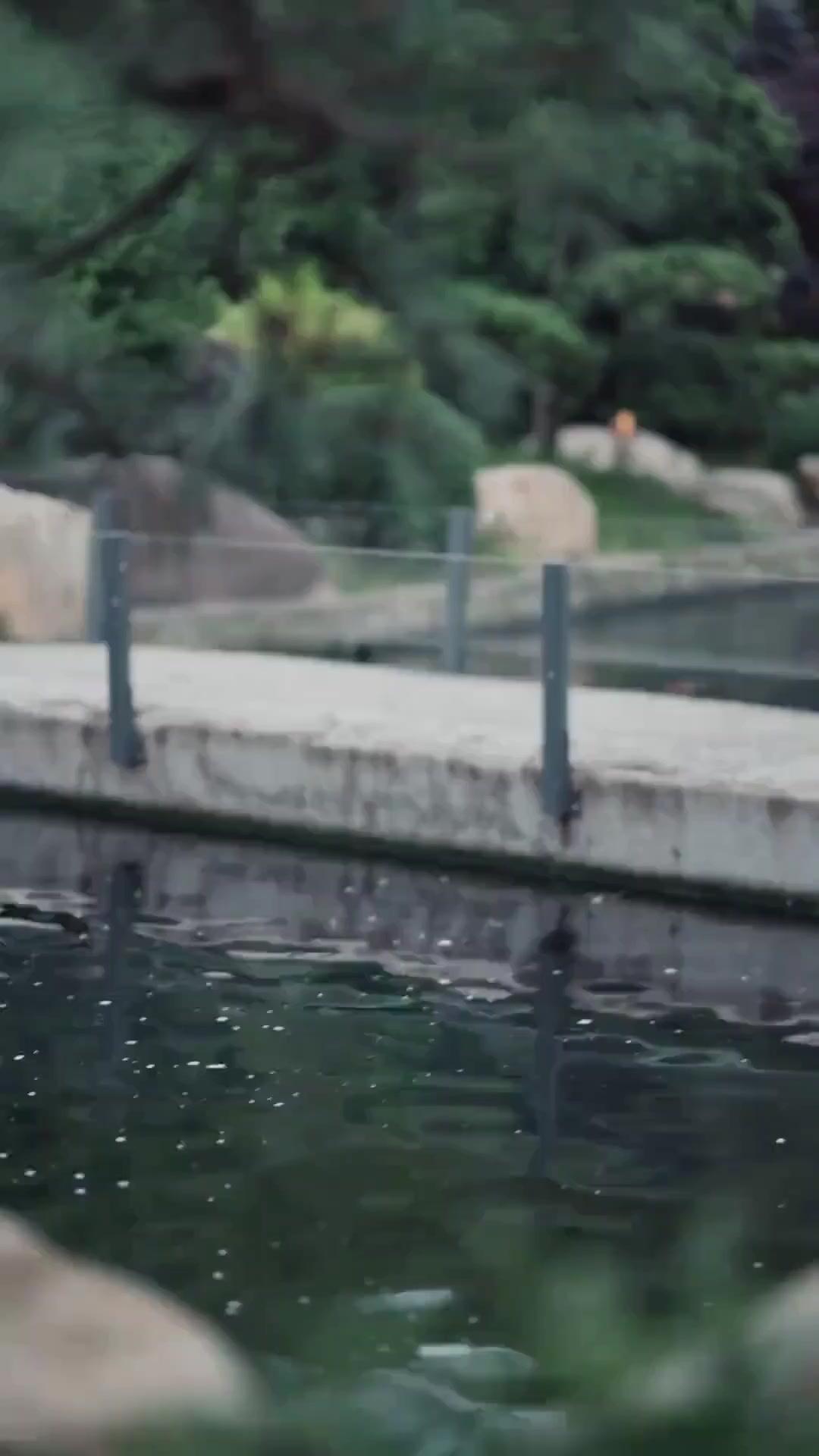 (Doblado)Locura escrita a besos